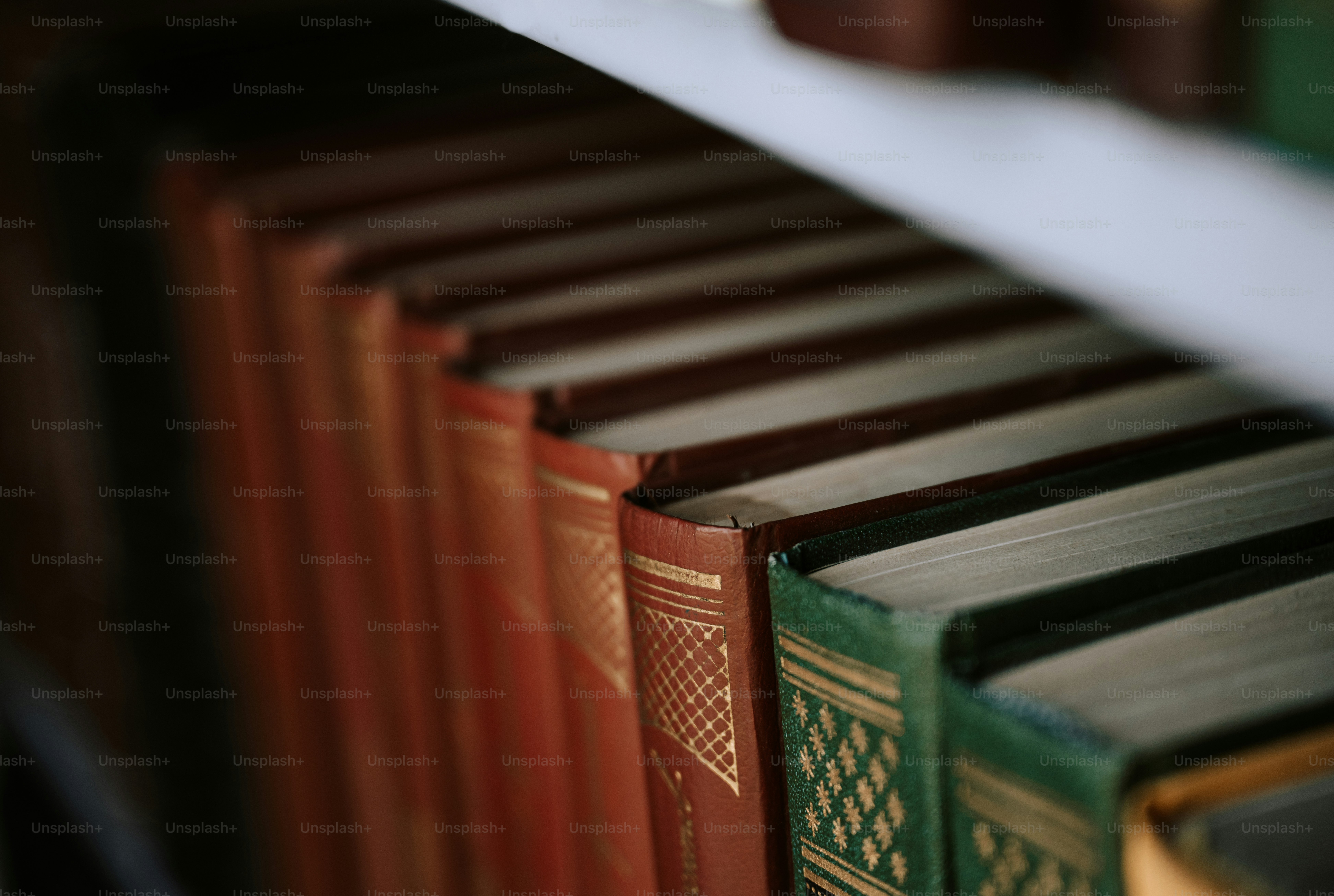 Books are neatly arranged on a shelf.