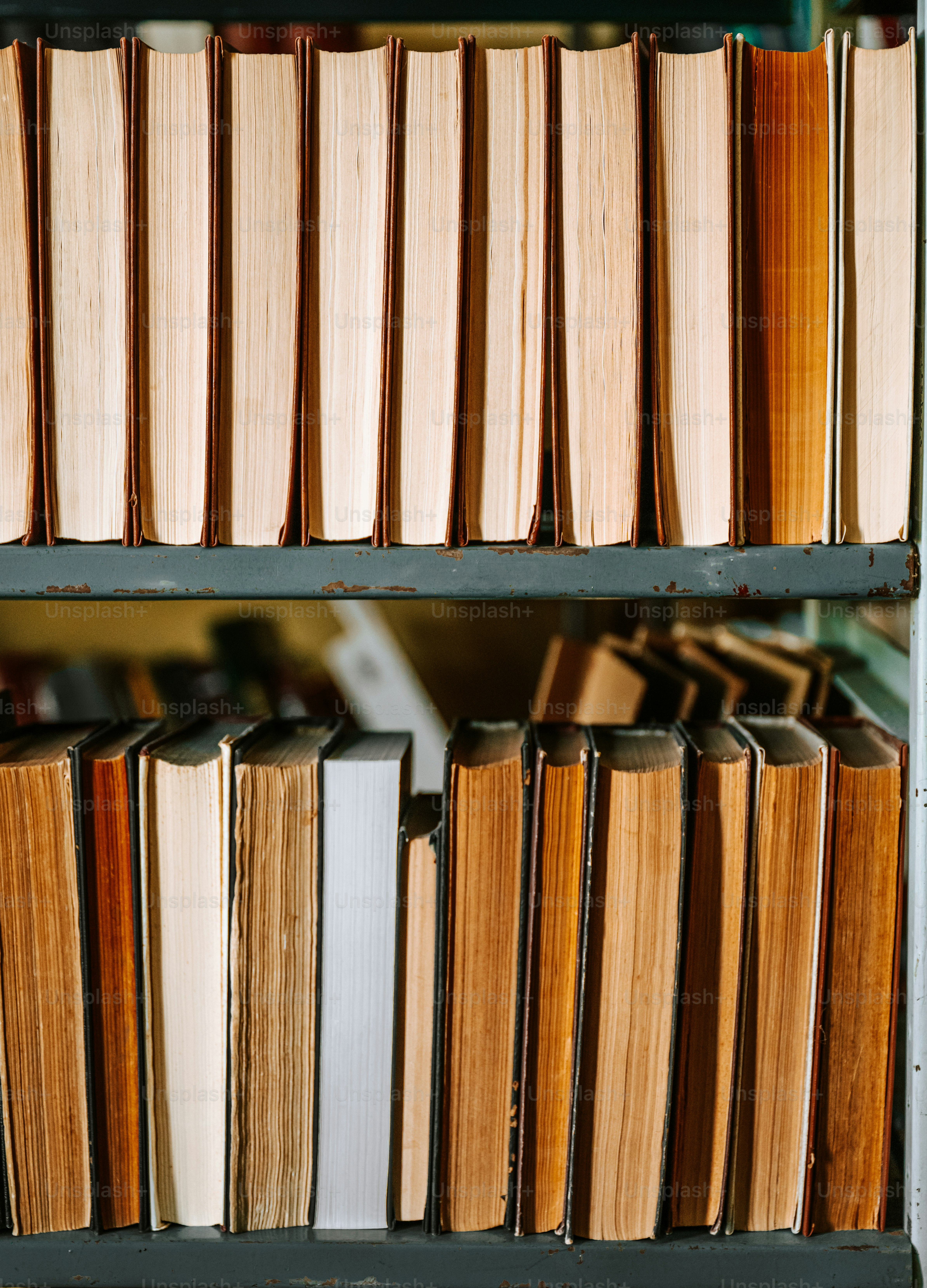 Books line the shelves in a library. photo – Books Image on Unsplash