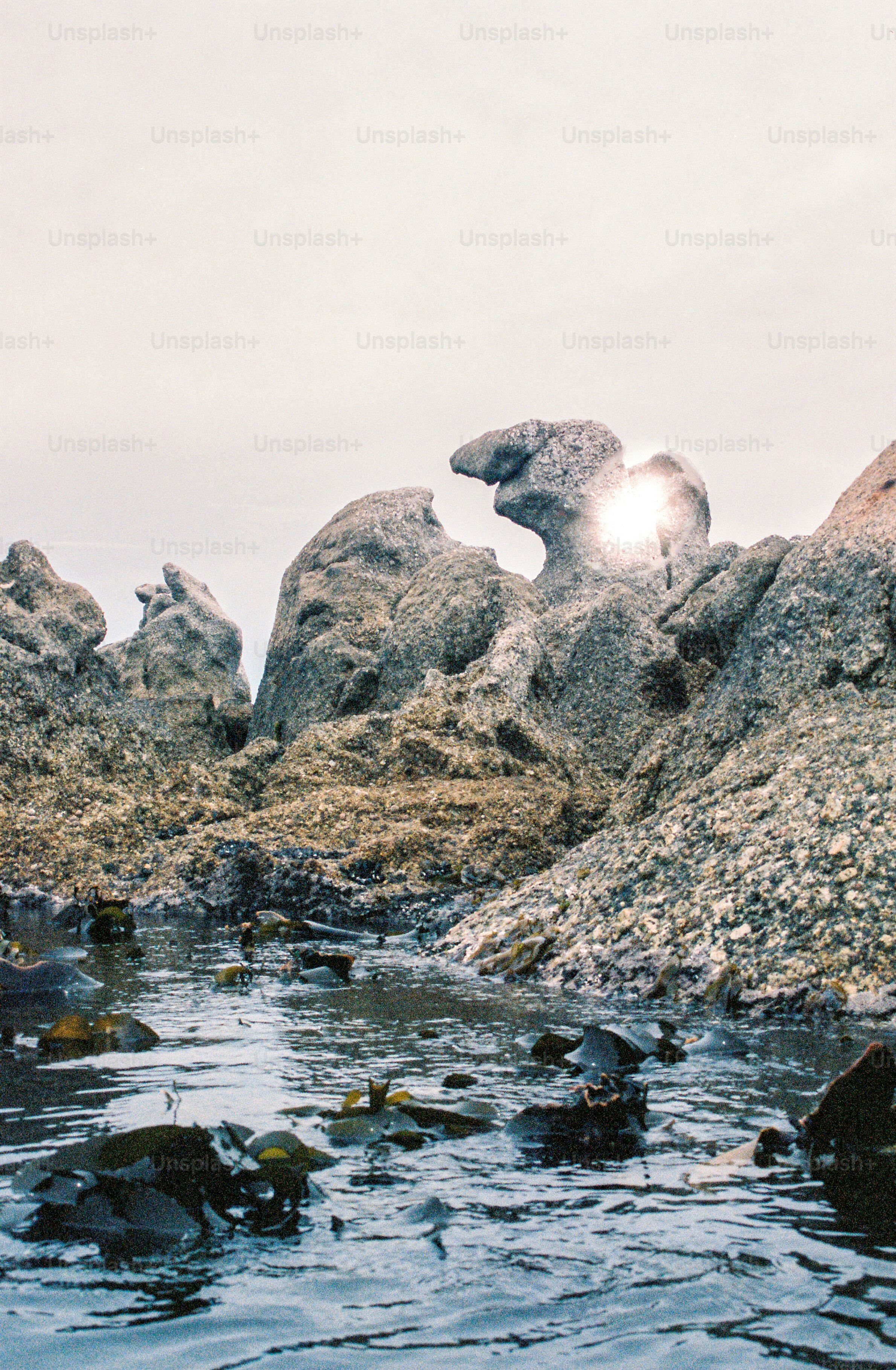Rocas y agua en un entorno costero.