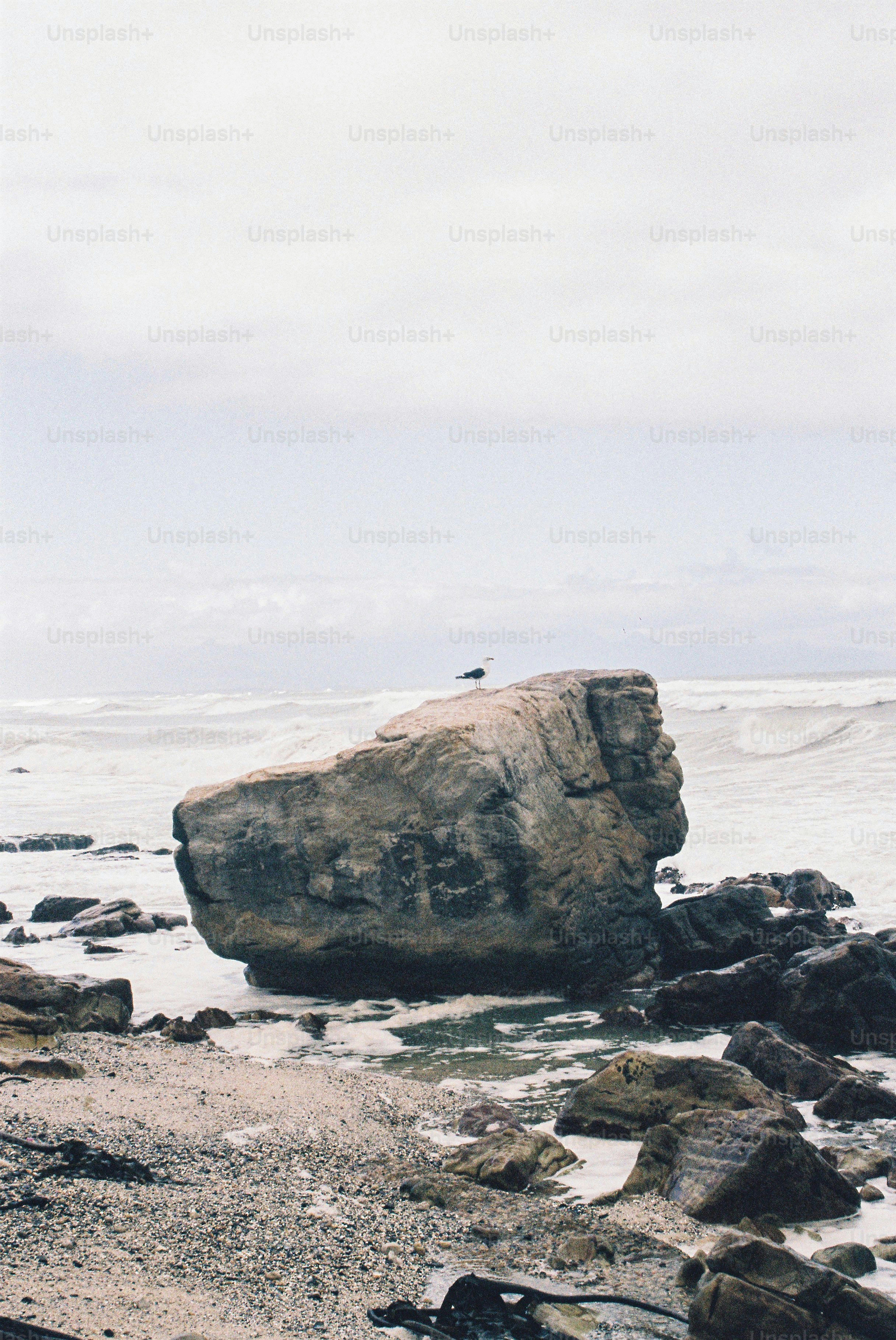 Una roca solitaria se encuentra junto a la orilla del océano.