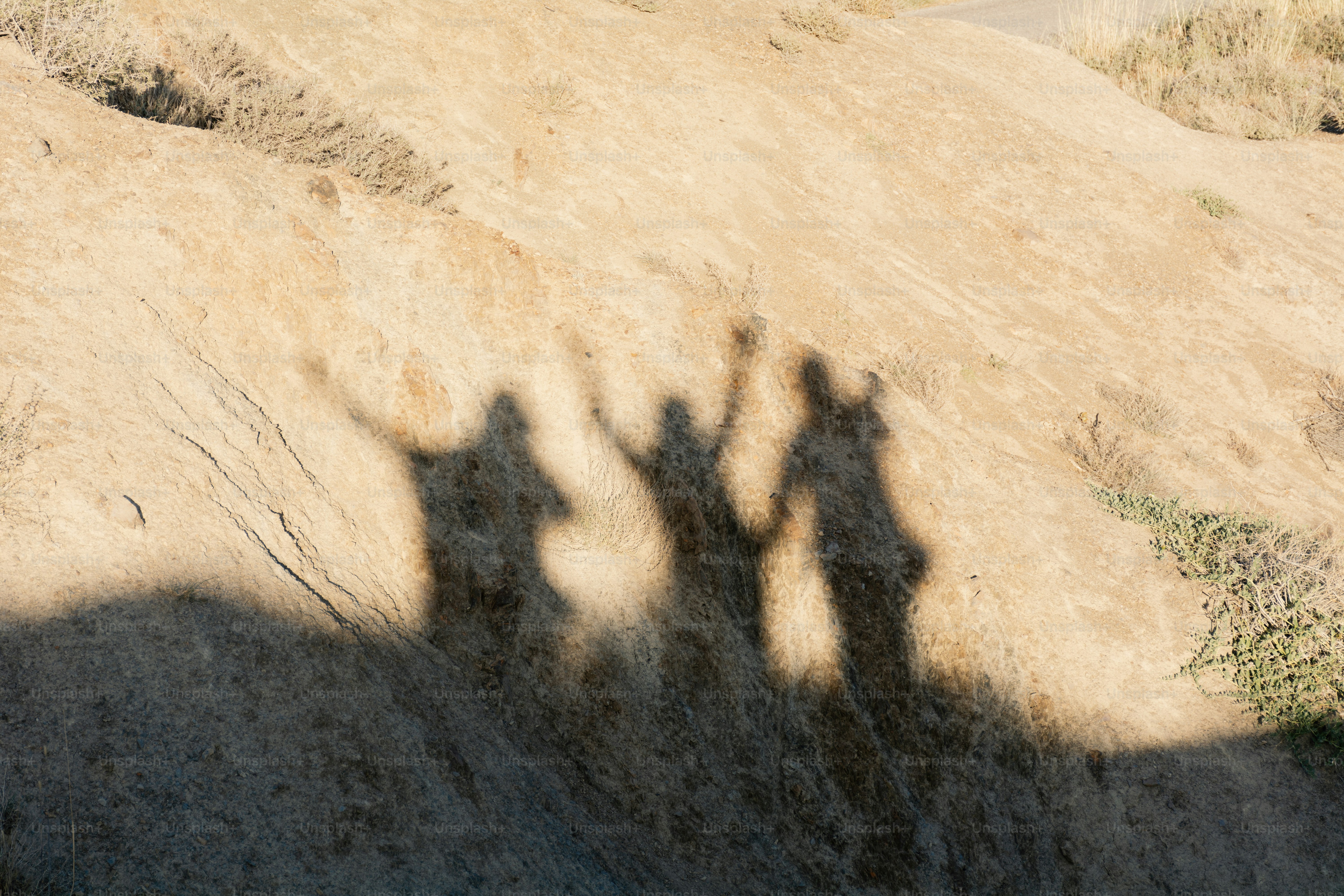 Three people's shadows are cast on a surface. photo – Abstract Image on ...