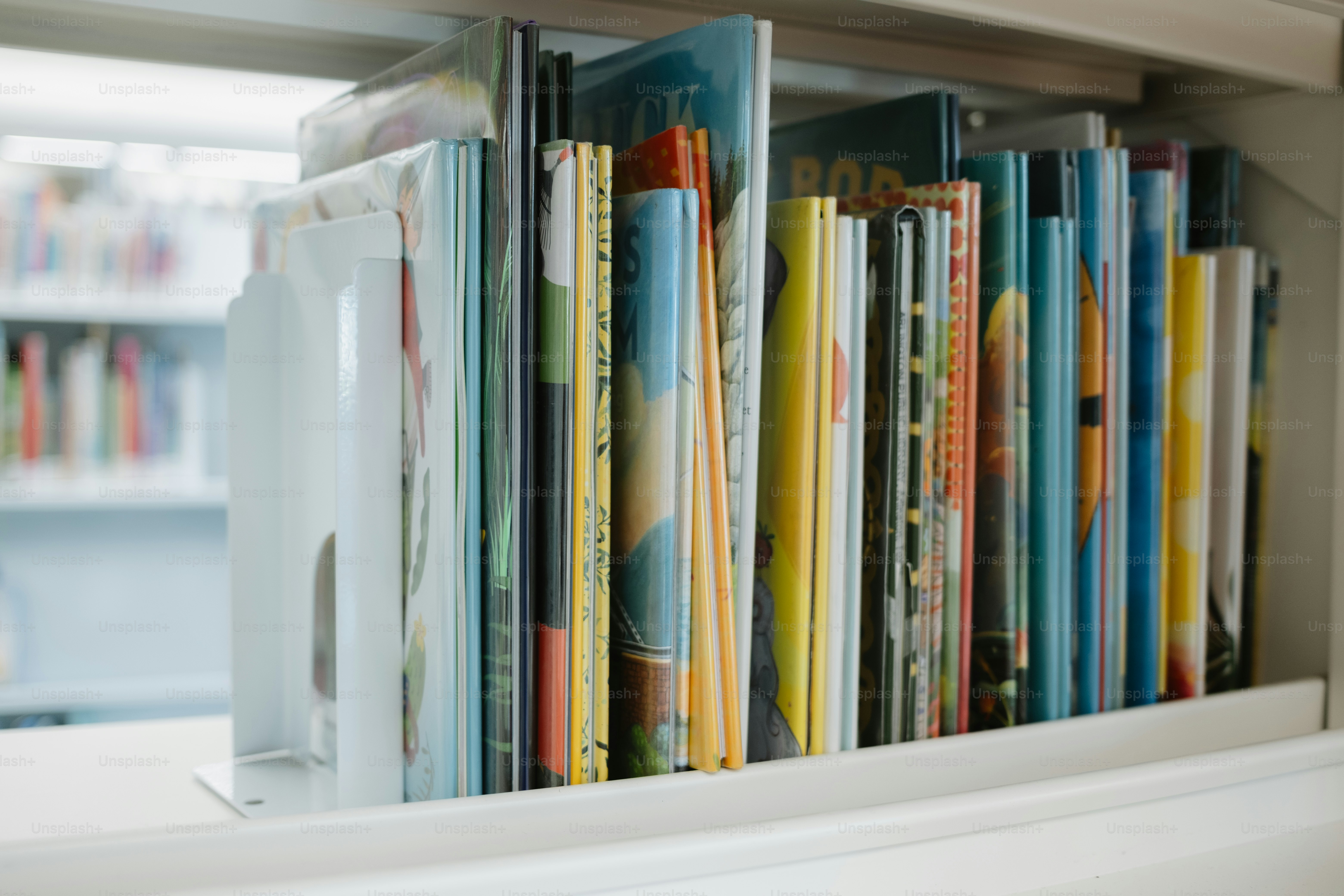 Os livros são organizados ordenadamente em uma prateleira.