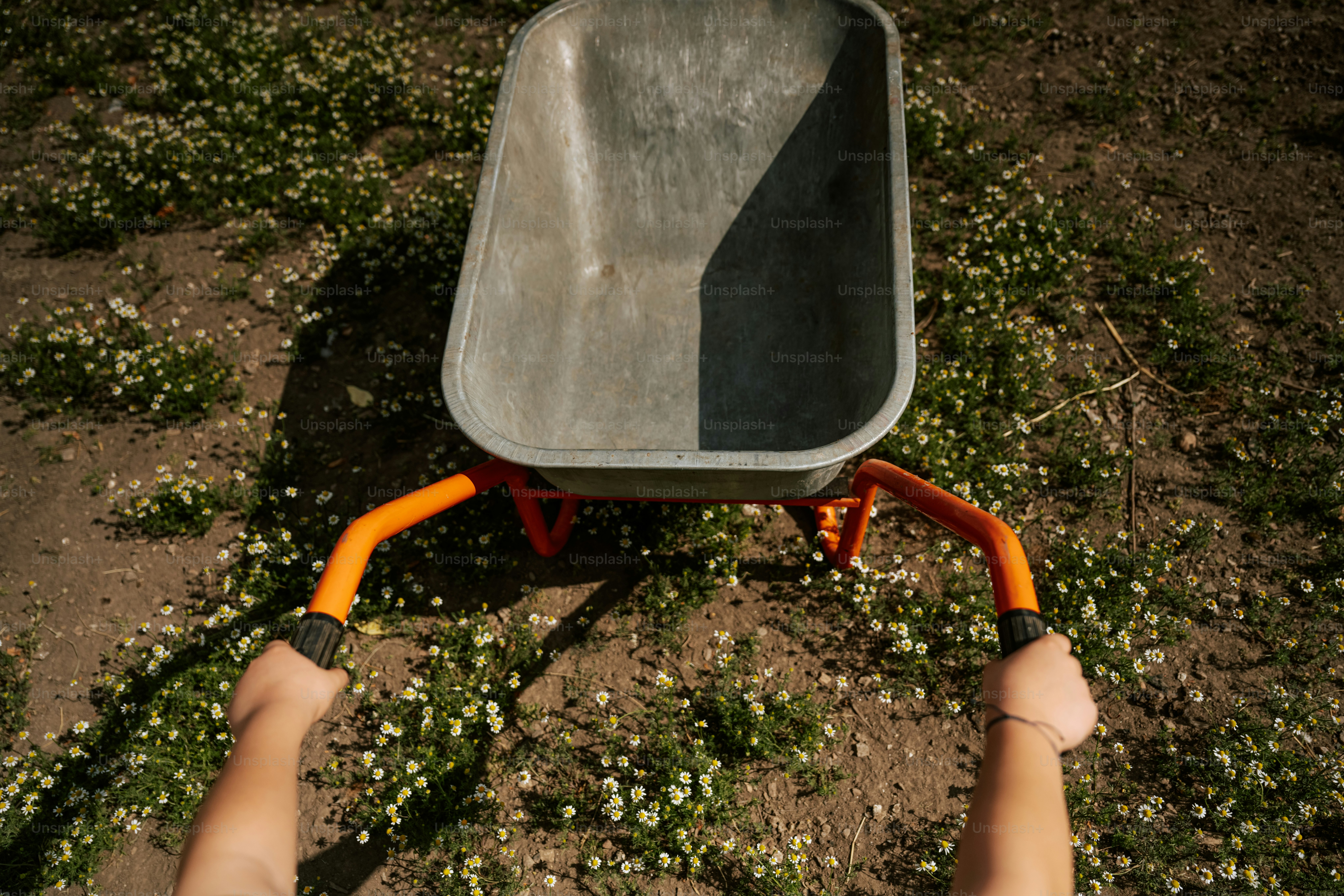 Someone is pushing a wheelbarrow in a field.