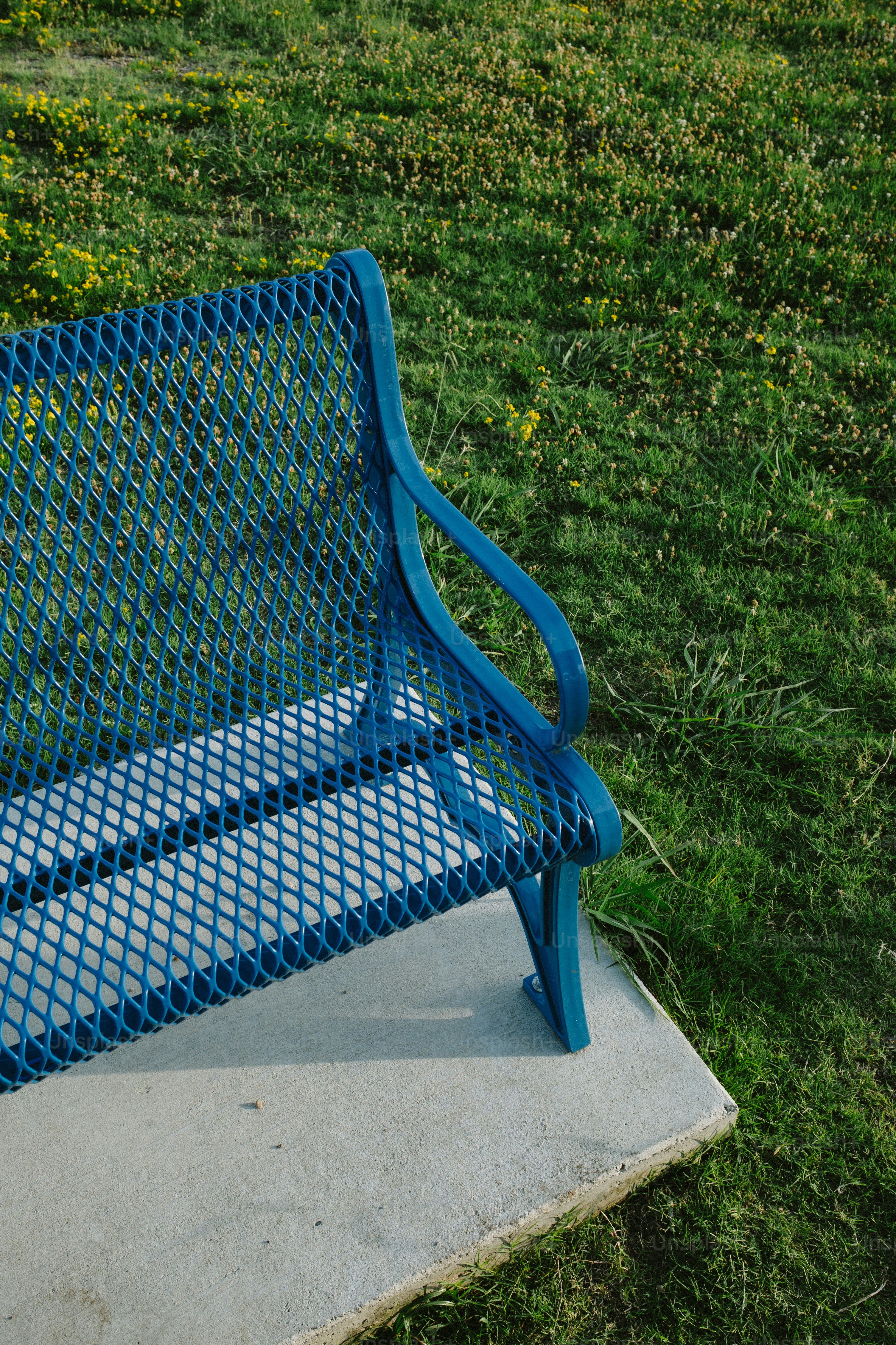 Um banco azul repousa em meio a uma vegetação exuberante.