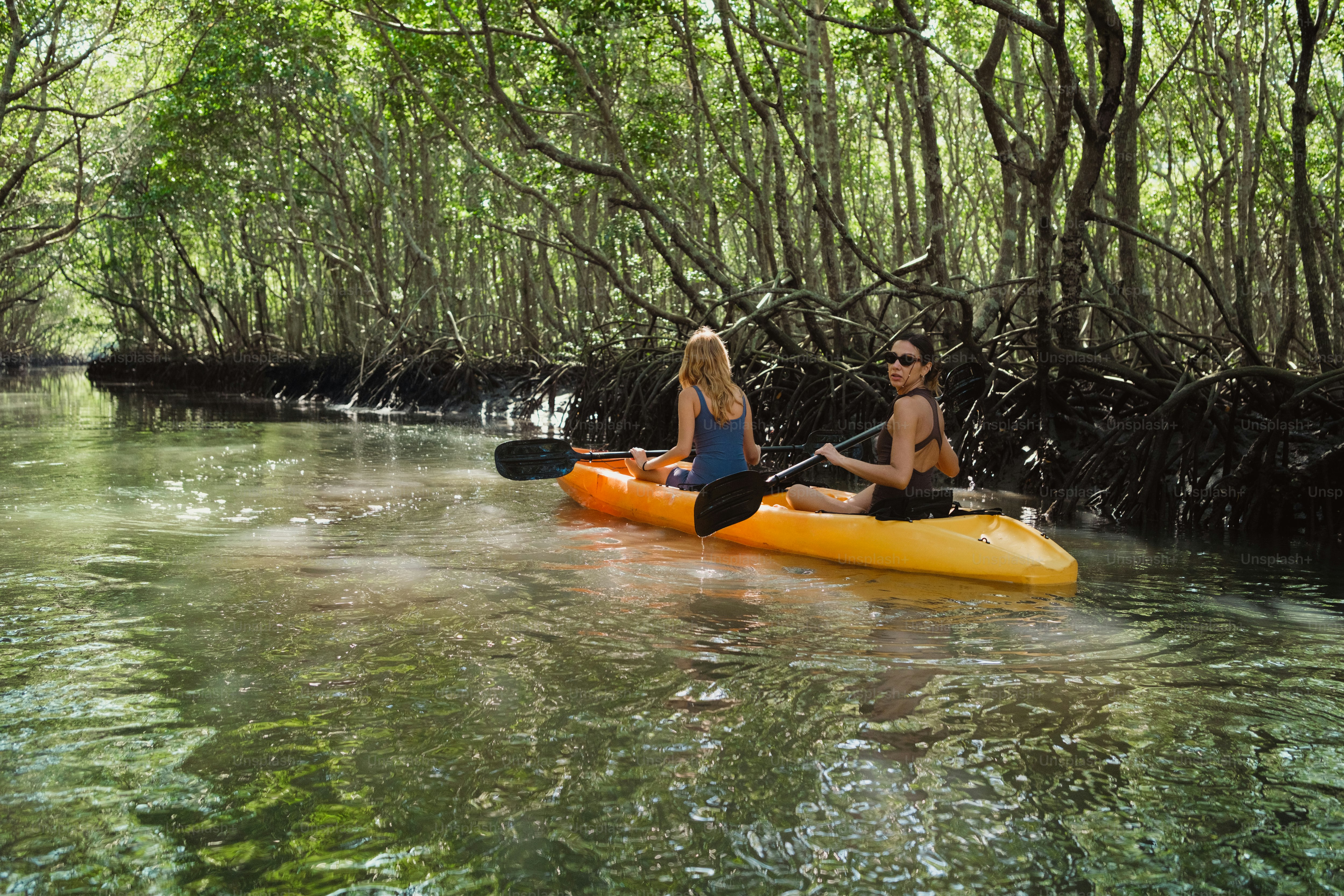 Two people kayak through a lush, watery forest.
