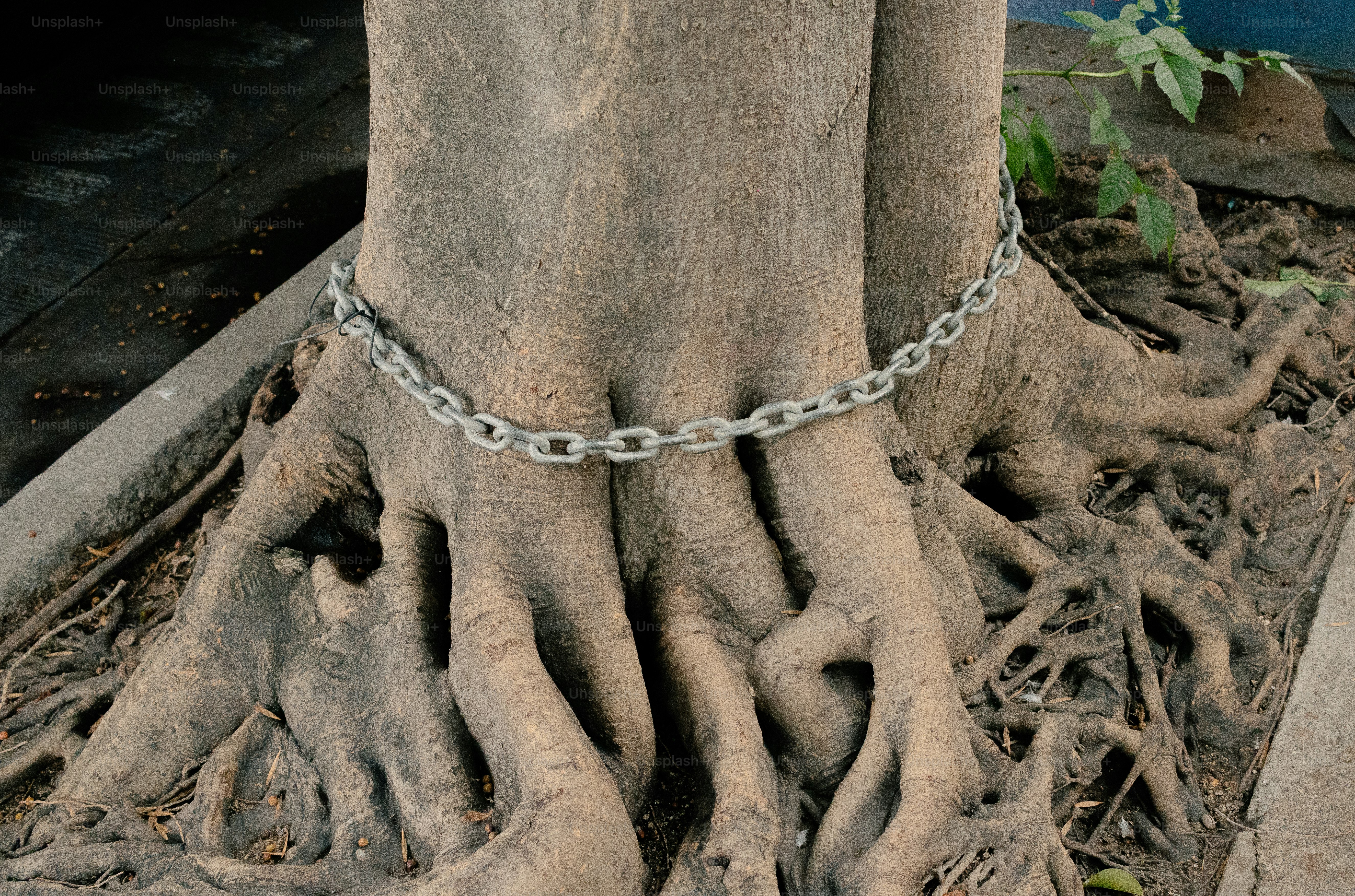 “End of Slavery Summit” on BrightU: How 19th-century abolitionists preached the end of government before anarchism even had a name