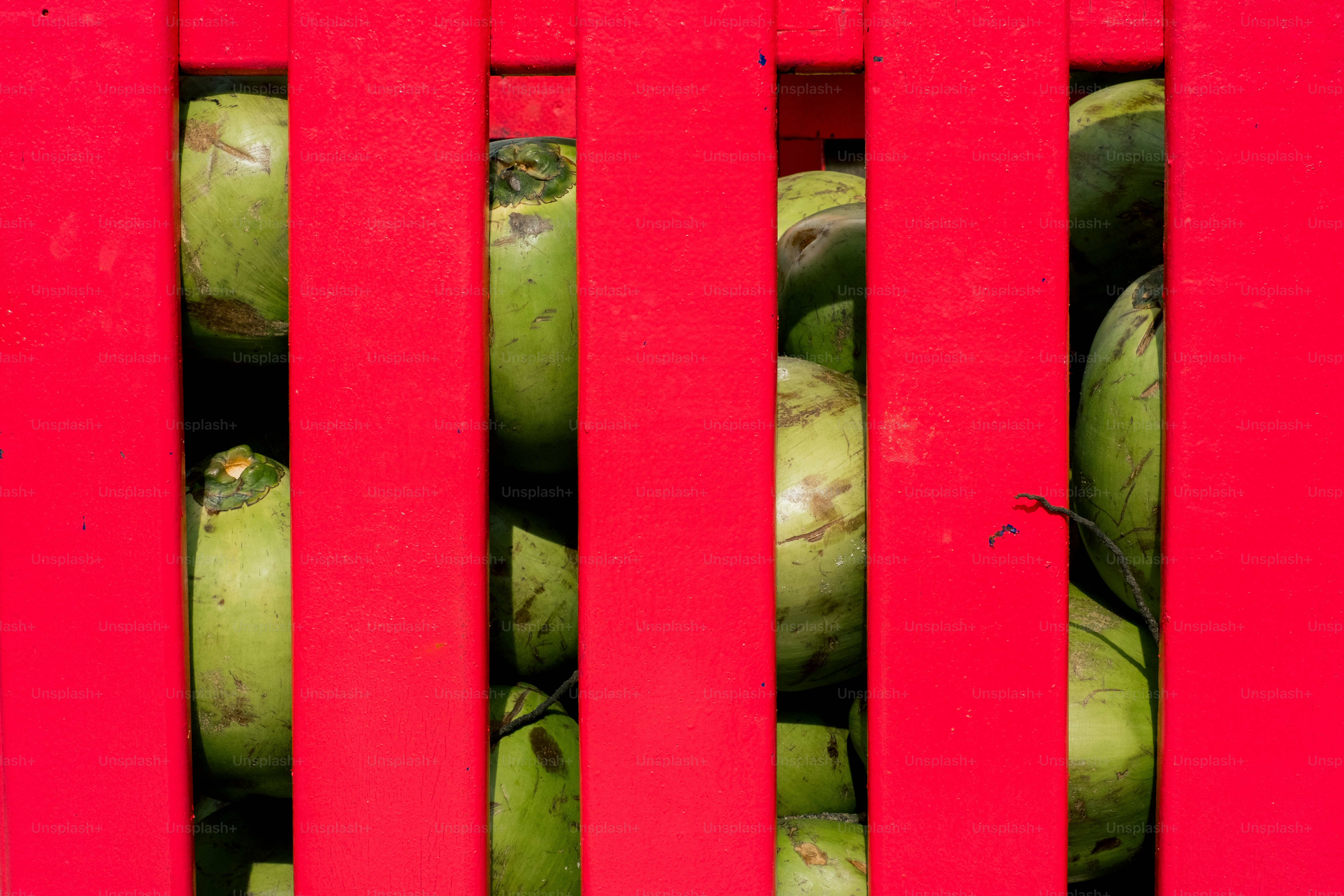 Green coconuts are stored in a red crate.