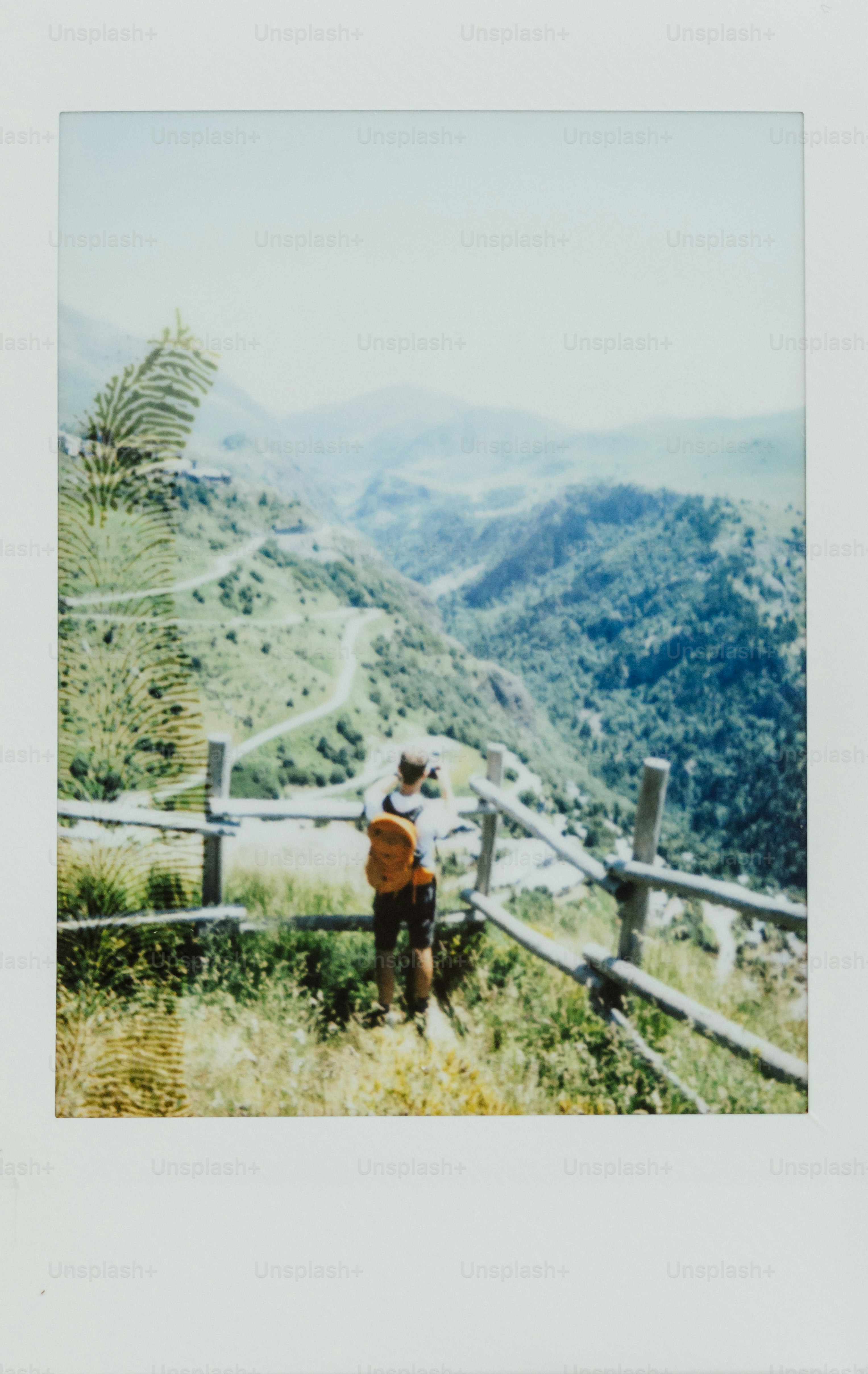 A person looks out over a lush, mountainous landscape.