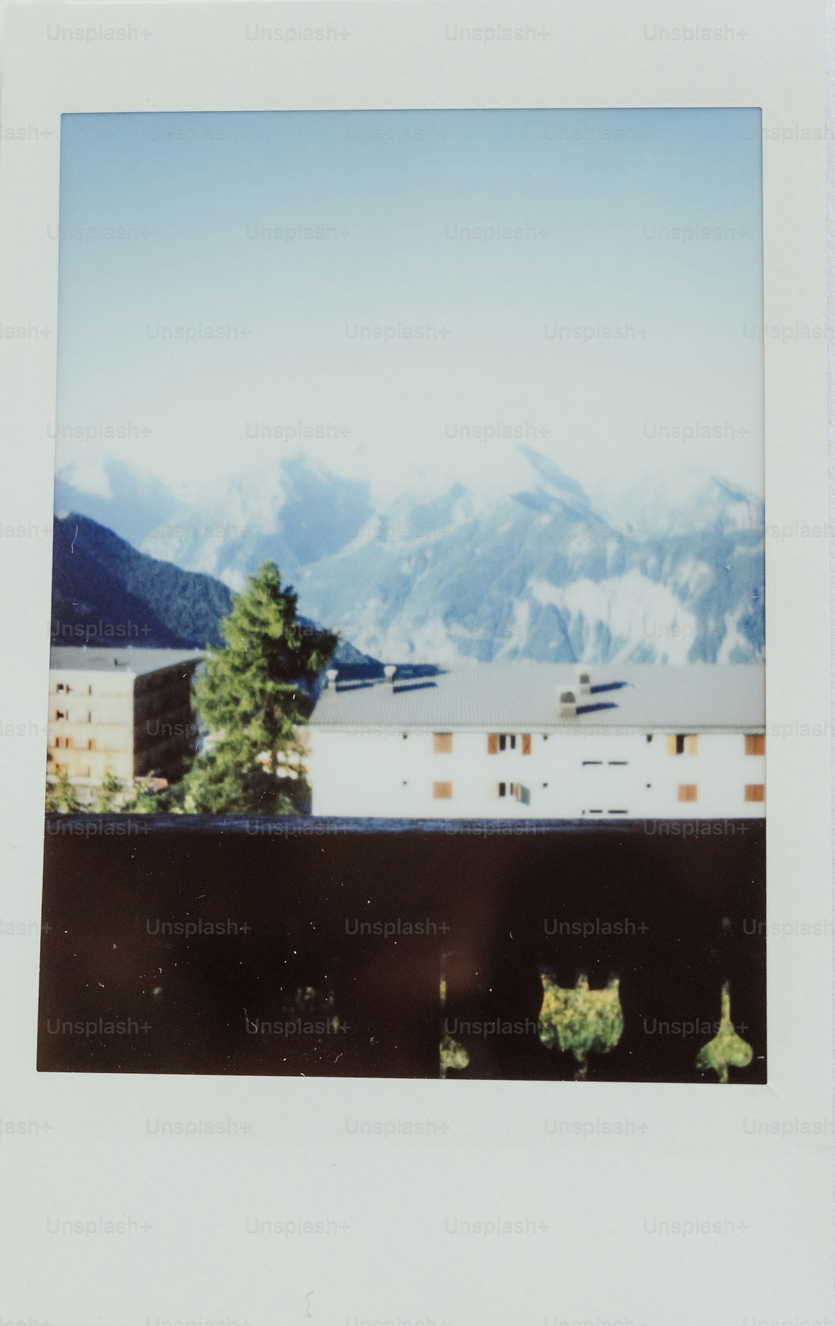 Snowy mountains are seen in the background.