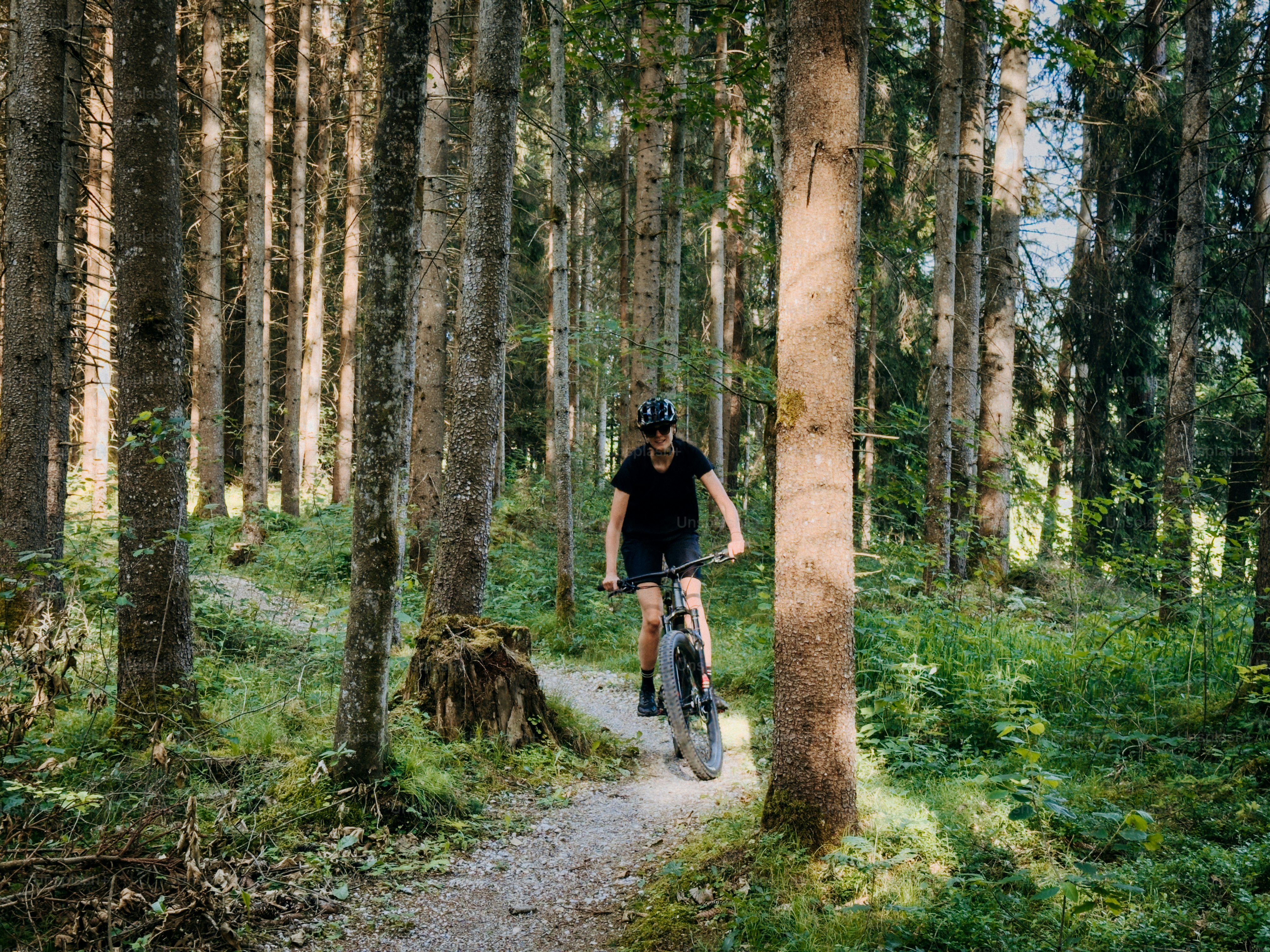 Cyclist rides through a forest on a sunny day. photo – Summer Image on ...