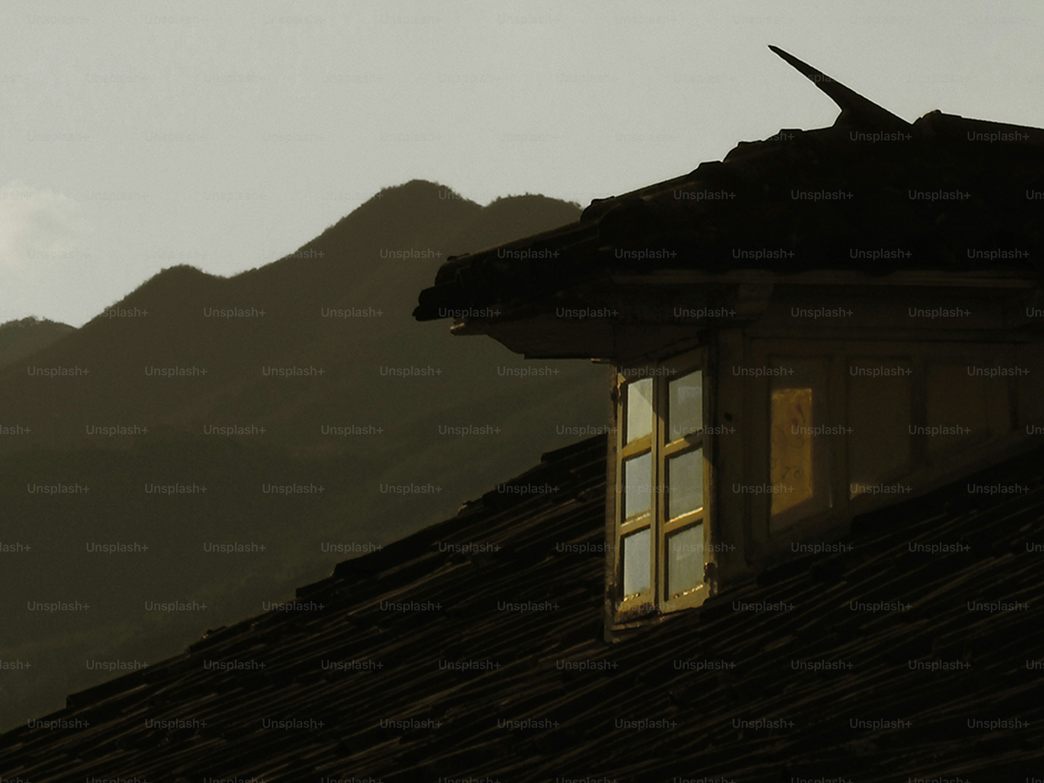 Thank You for Finding Me