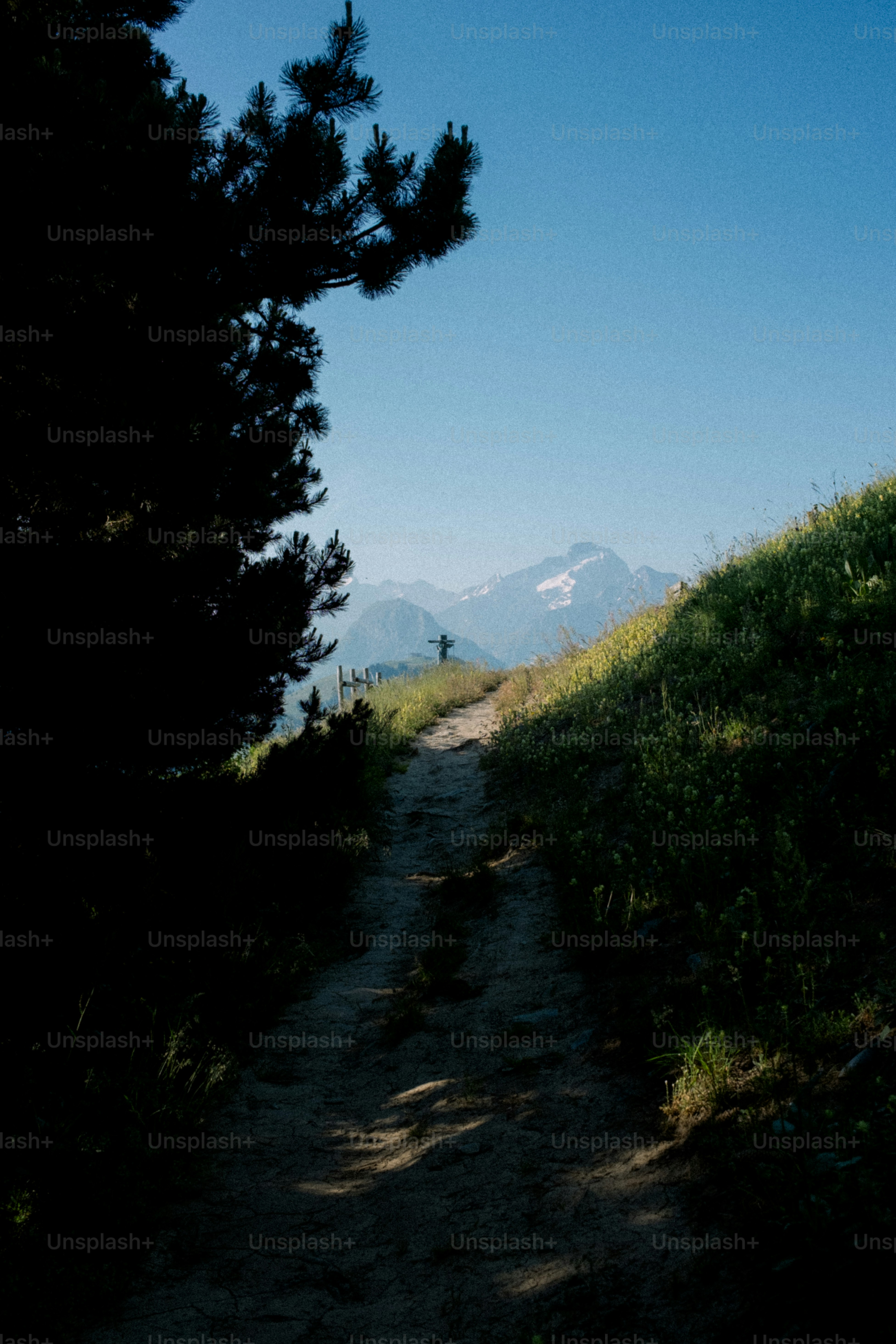 A path leads towards the mountain.