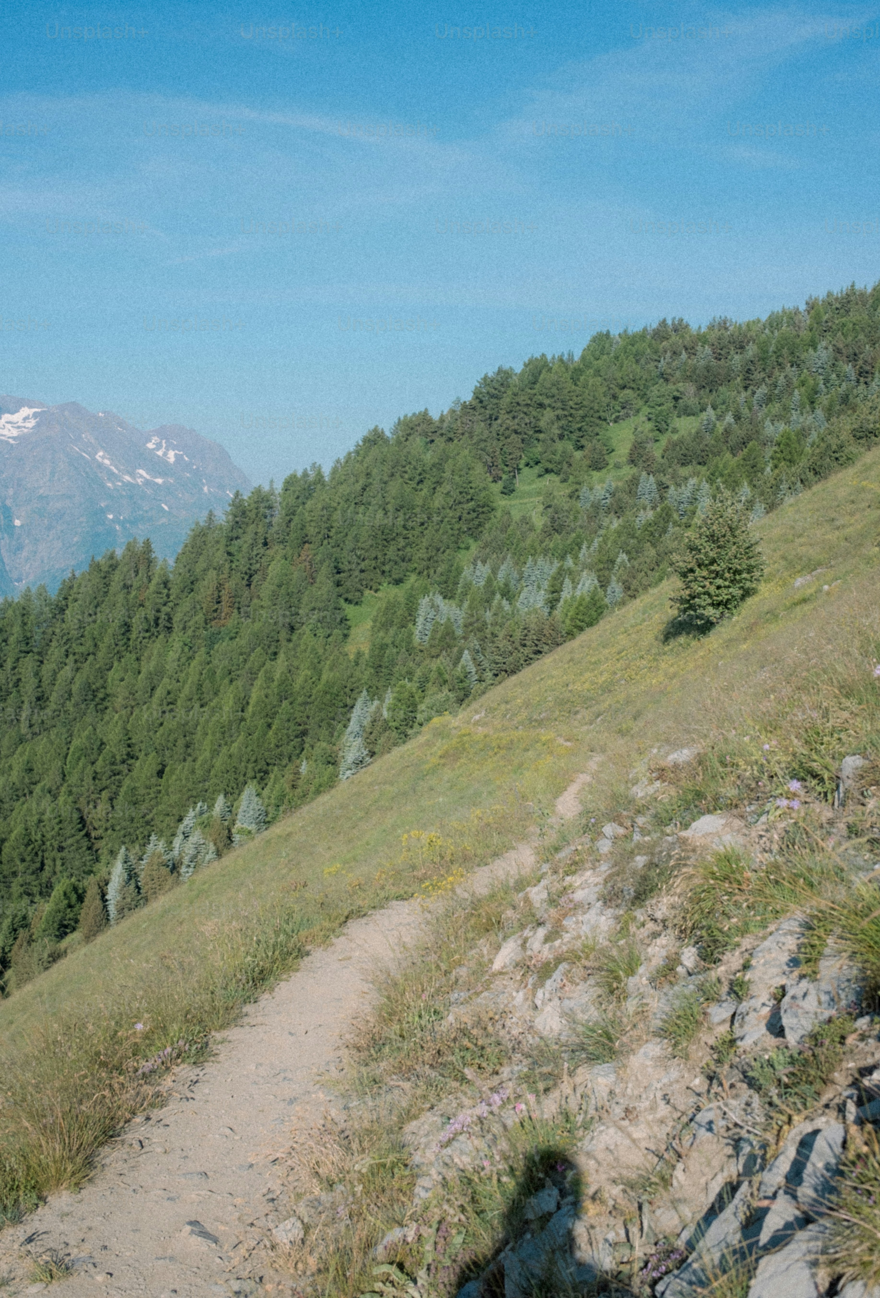 A dirt path winds through a mountain slope.