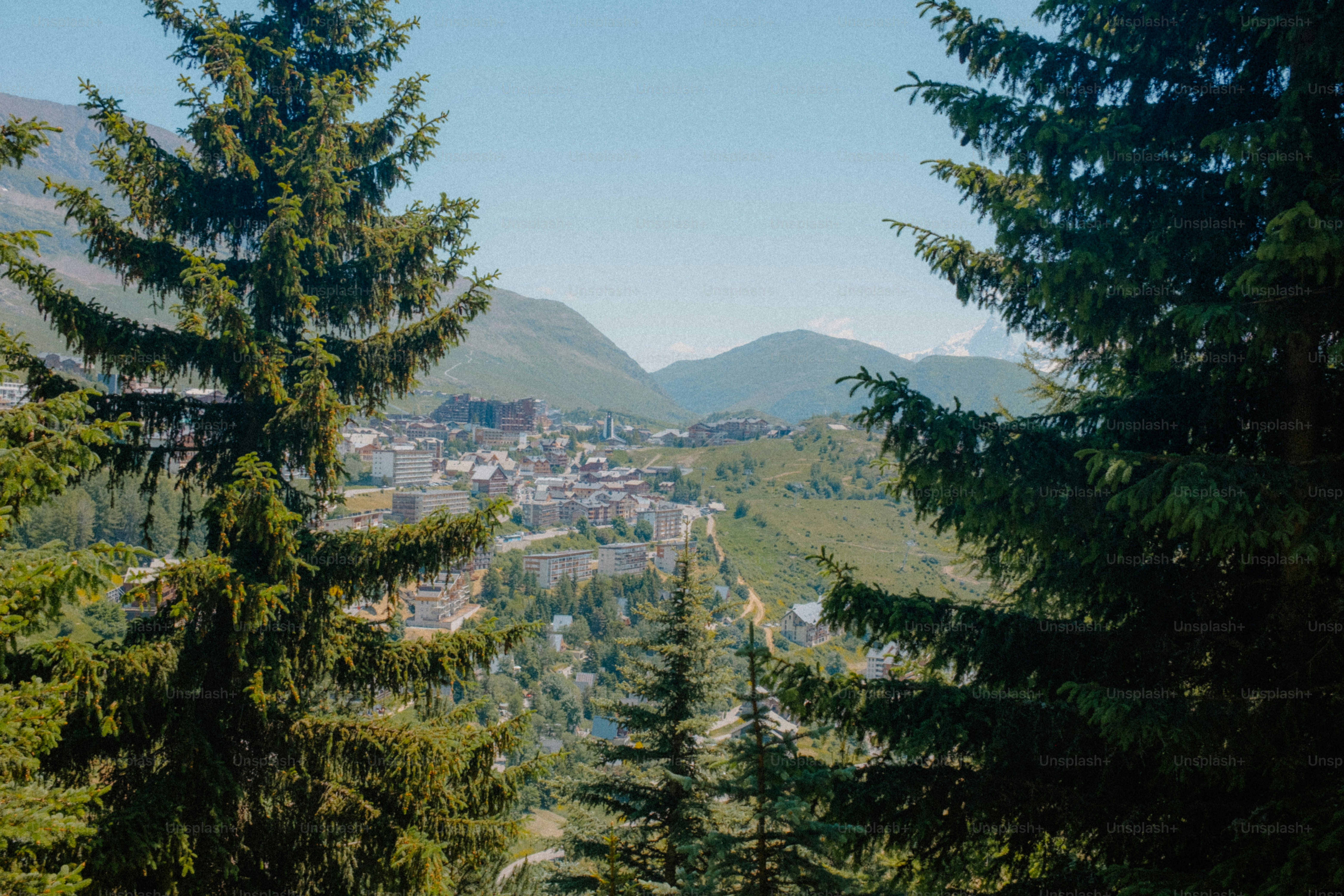 Mountains and a town are visible through trees.