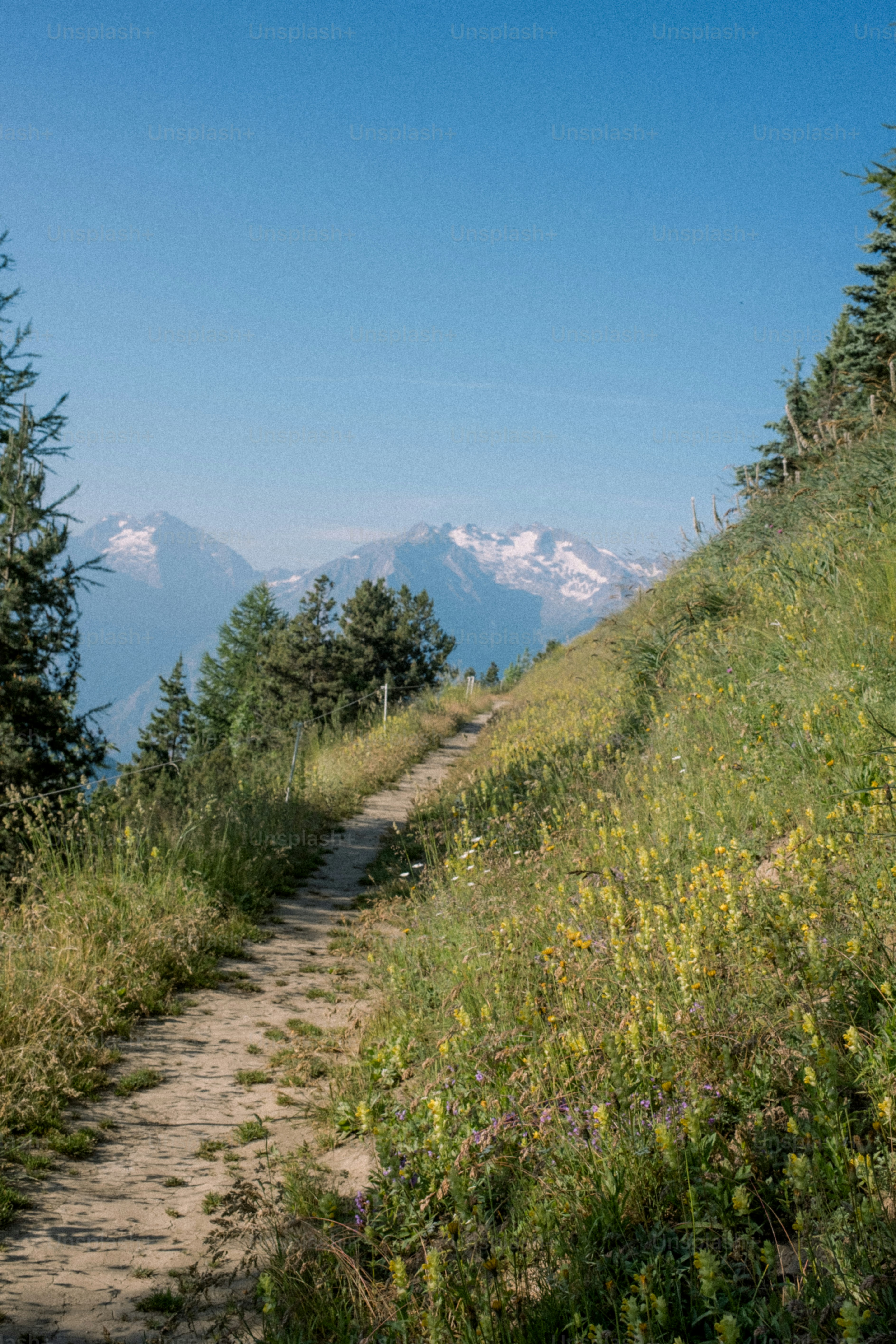 A trail winds towards snow-capped mountains.