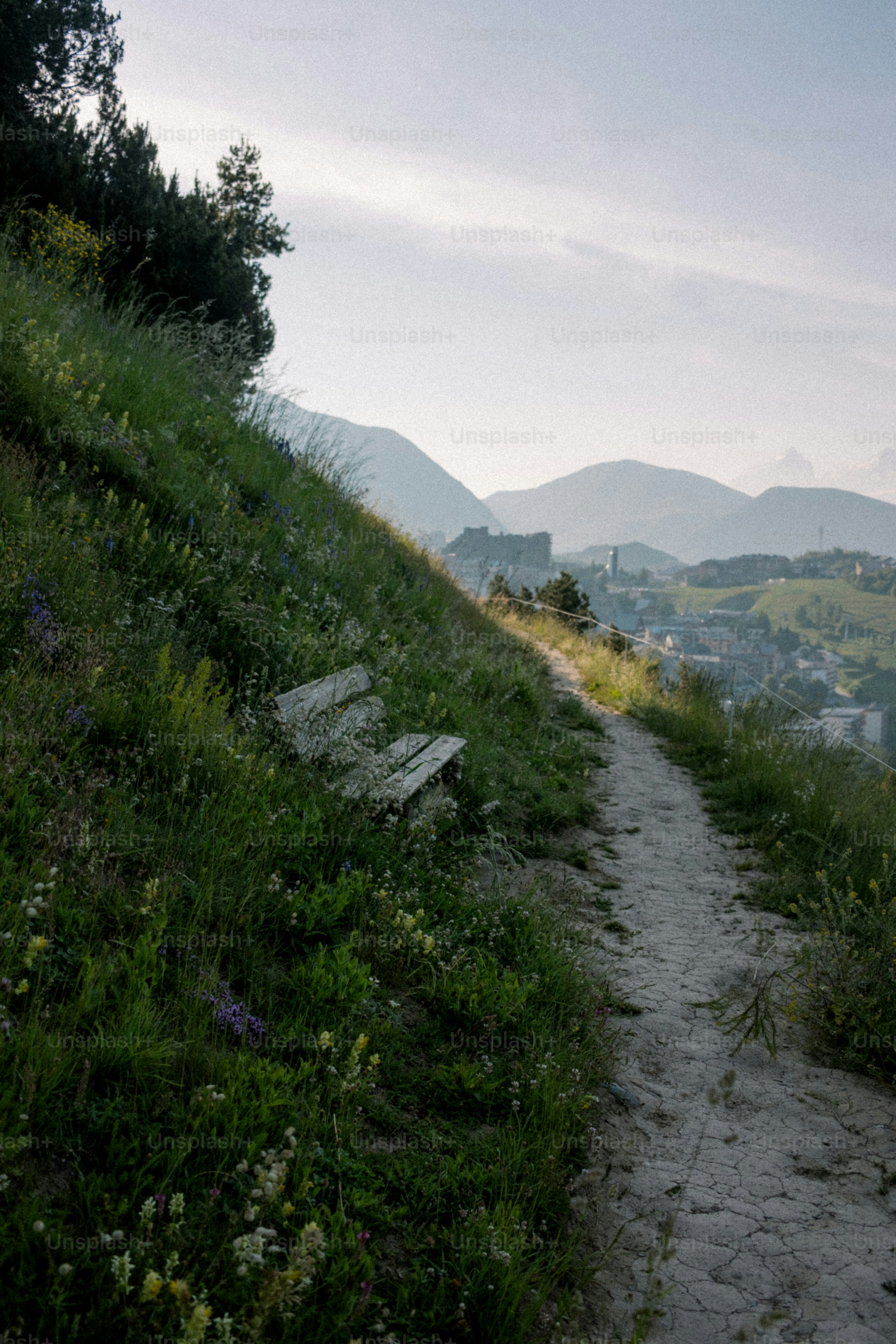 A winding path leads through a grassy hillside.