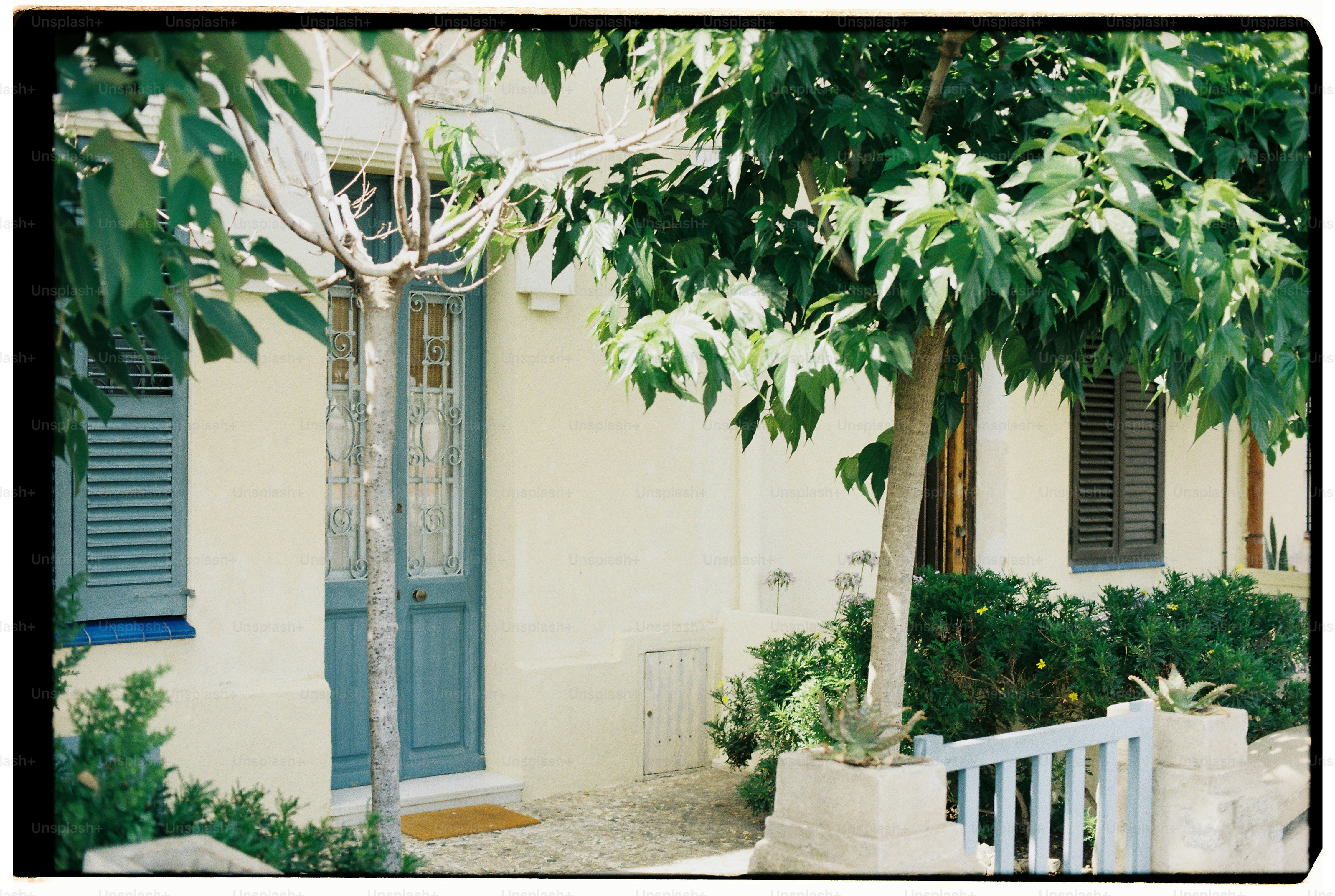 A house with a door and trees.