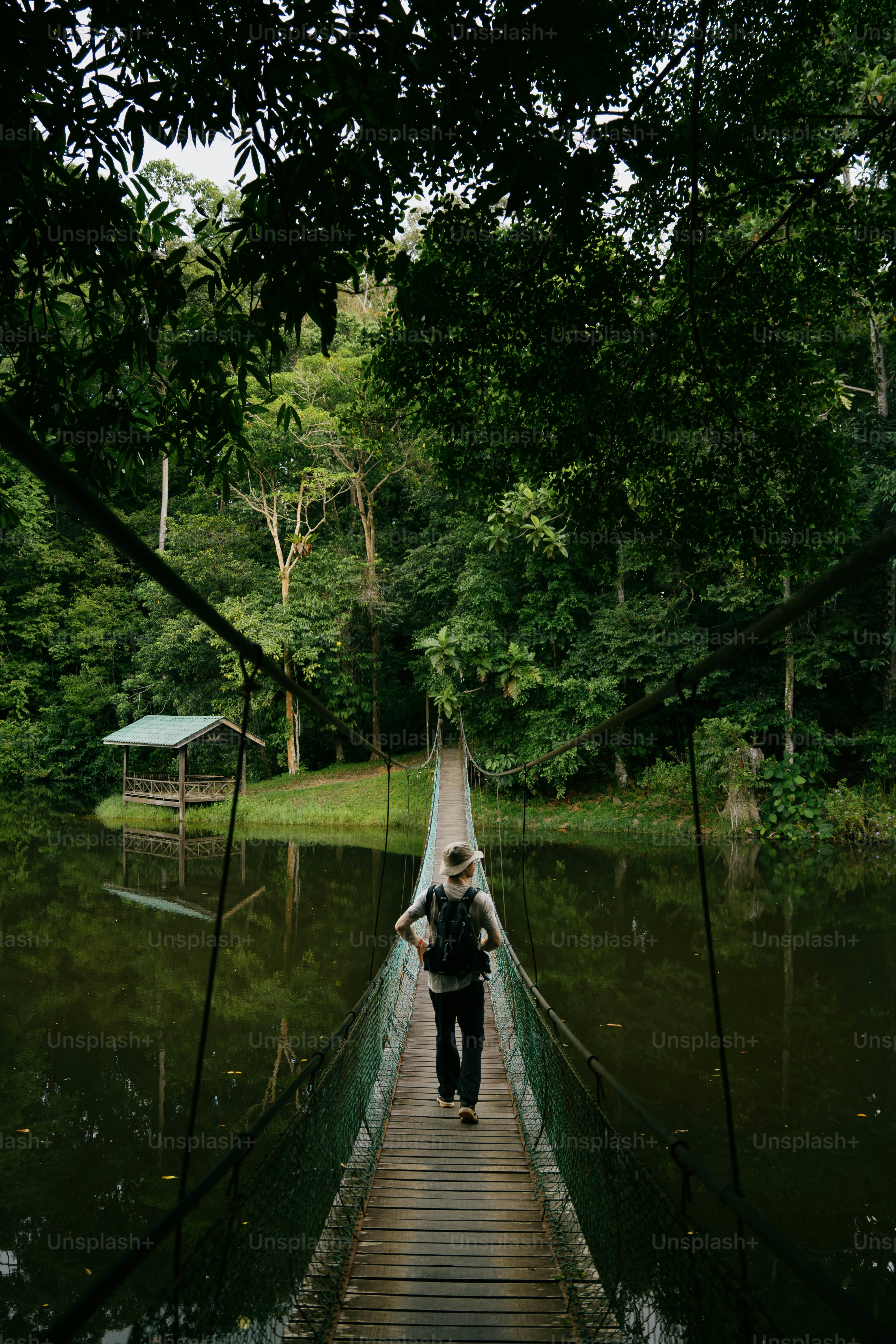Seseorang berjalan melintasi jembatan di hutan.