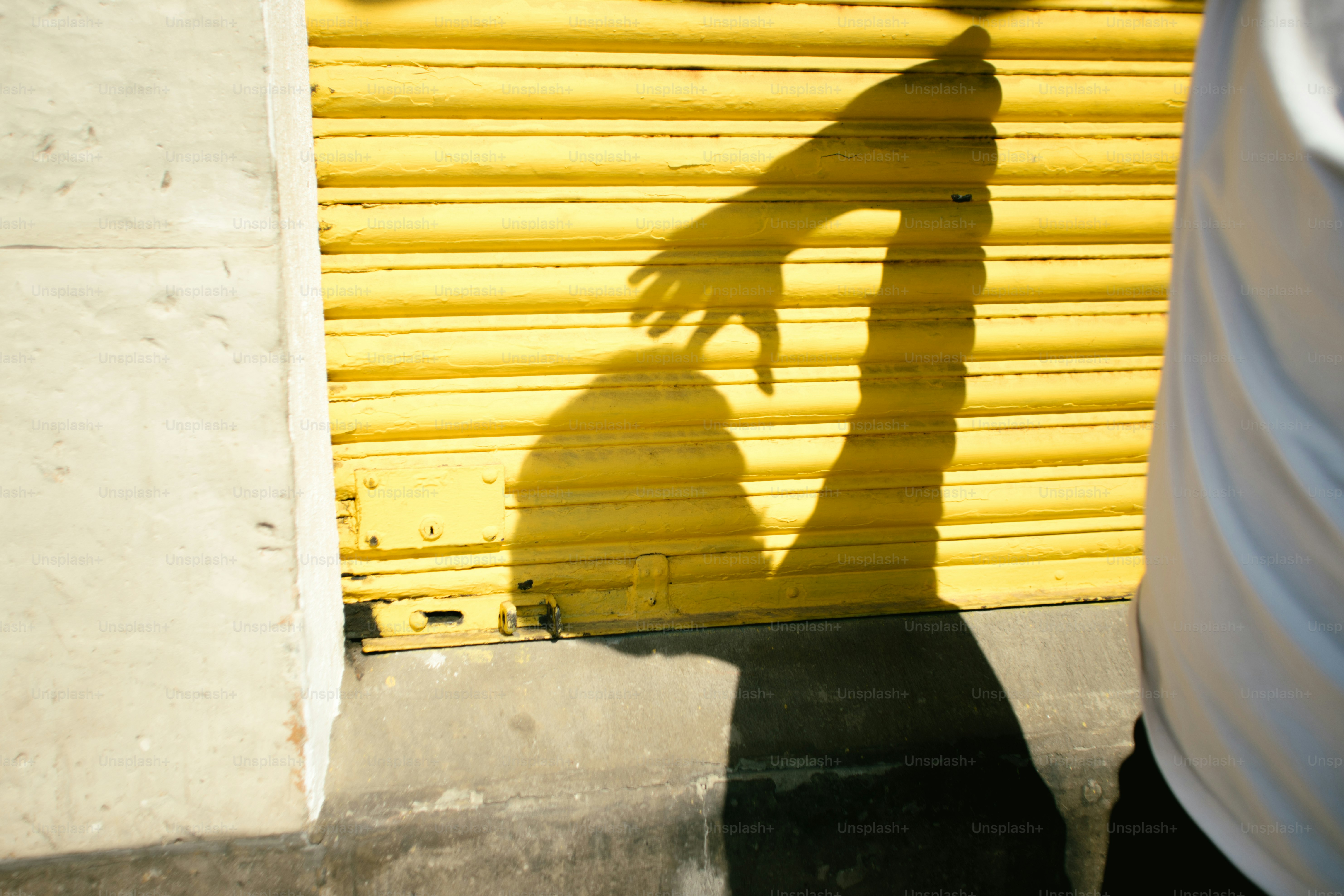 イエローメタルに手の影が落ちます。