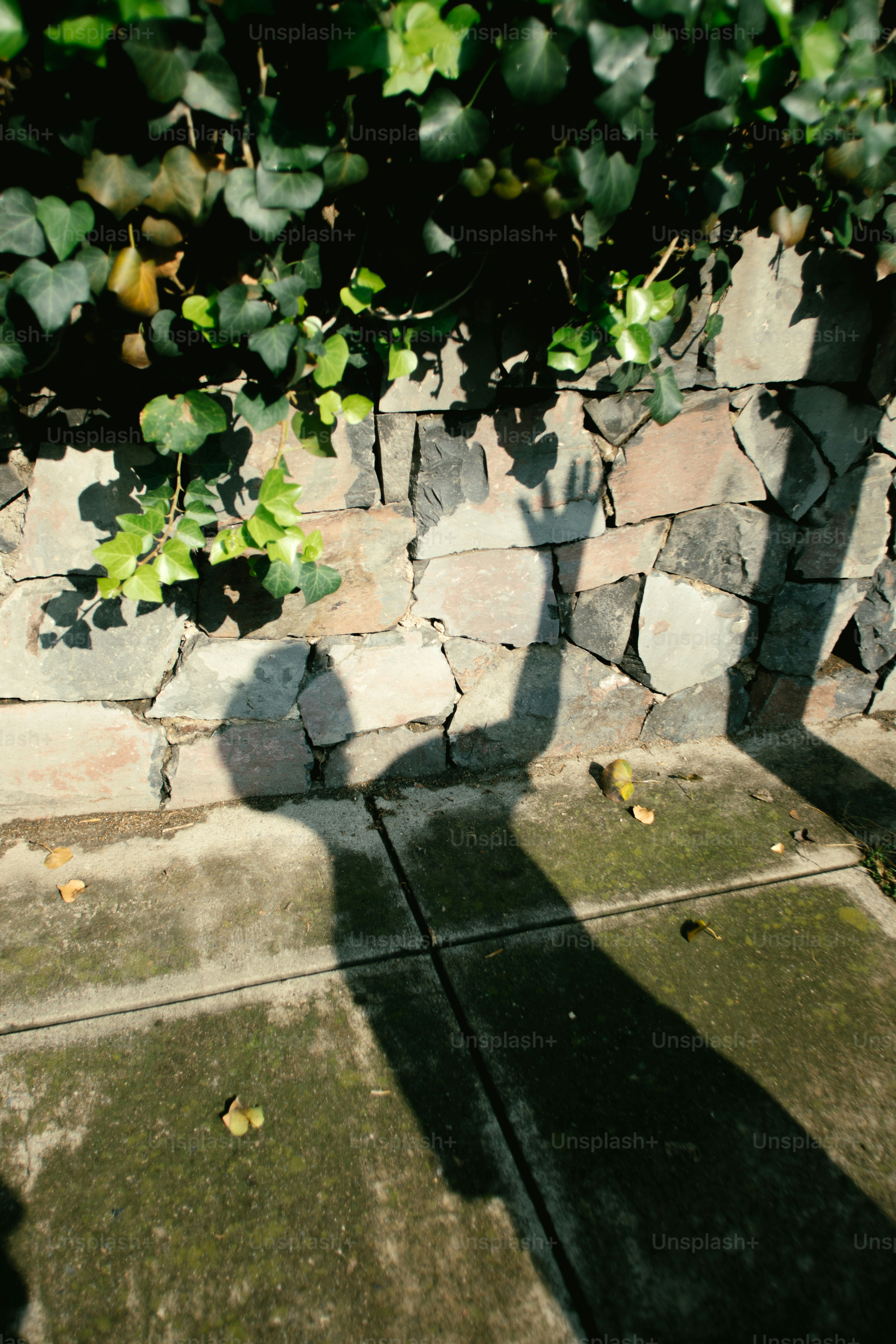 Una sombra se extiende contra un muro de piedra.