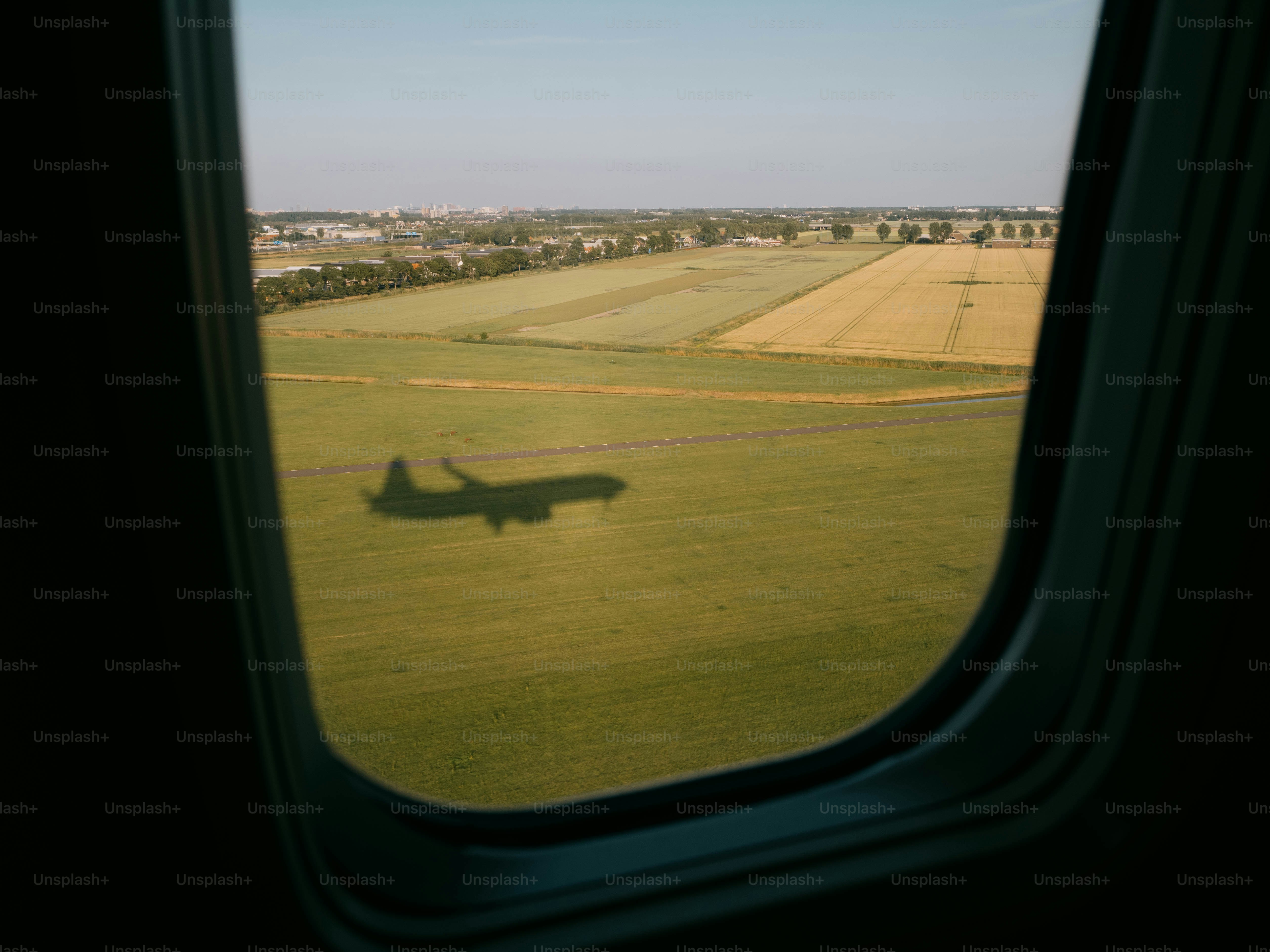 premium_photo-1750896115637-8e3ea272b9ef
