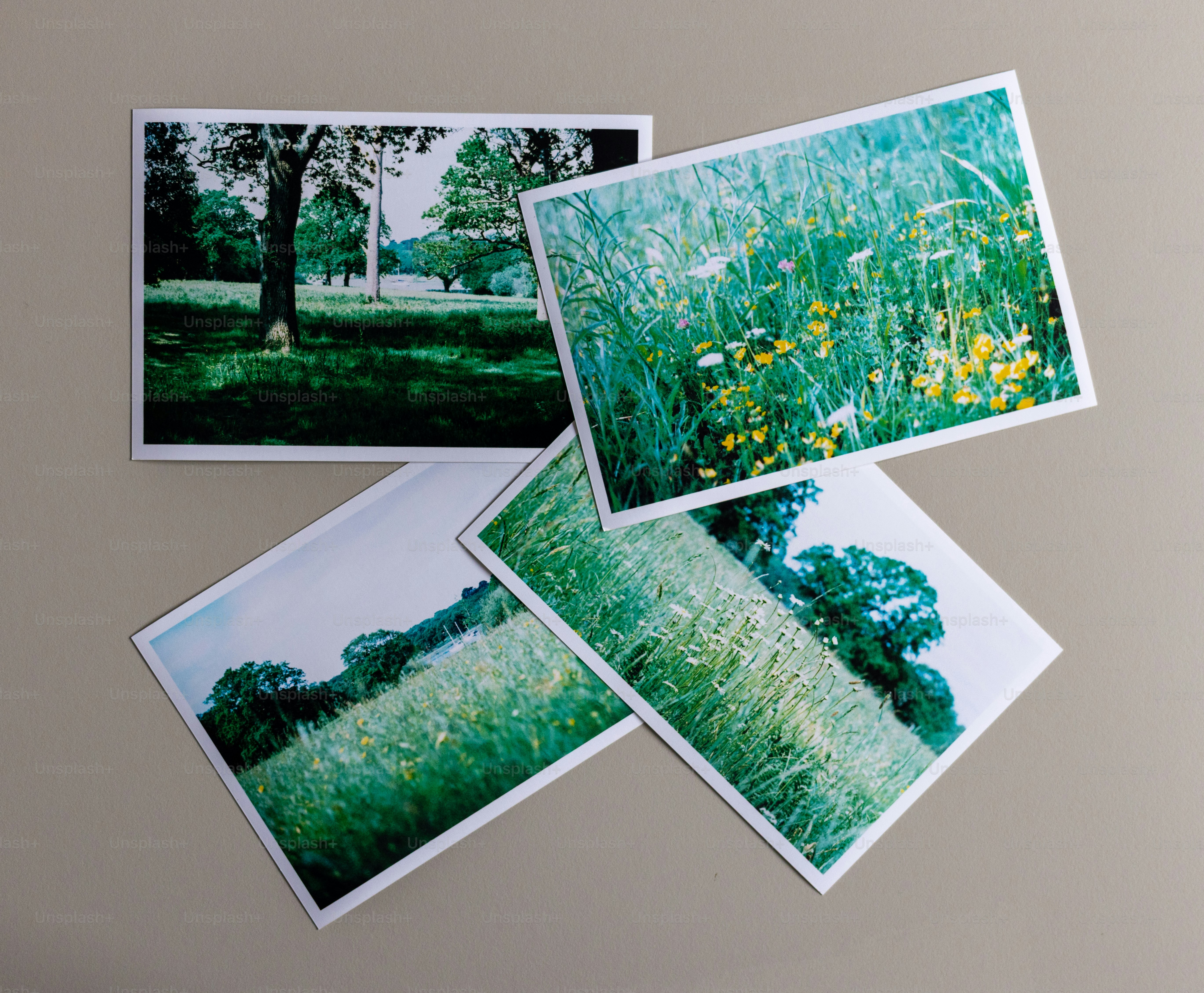 Four photographs showcase various outdoor scenes.