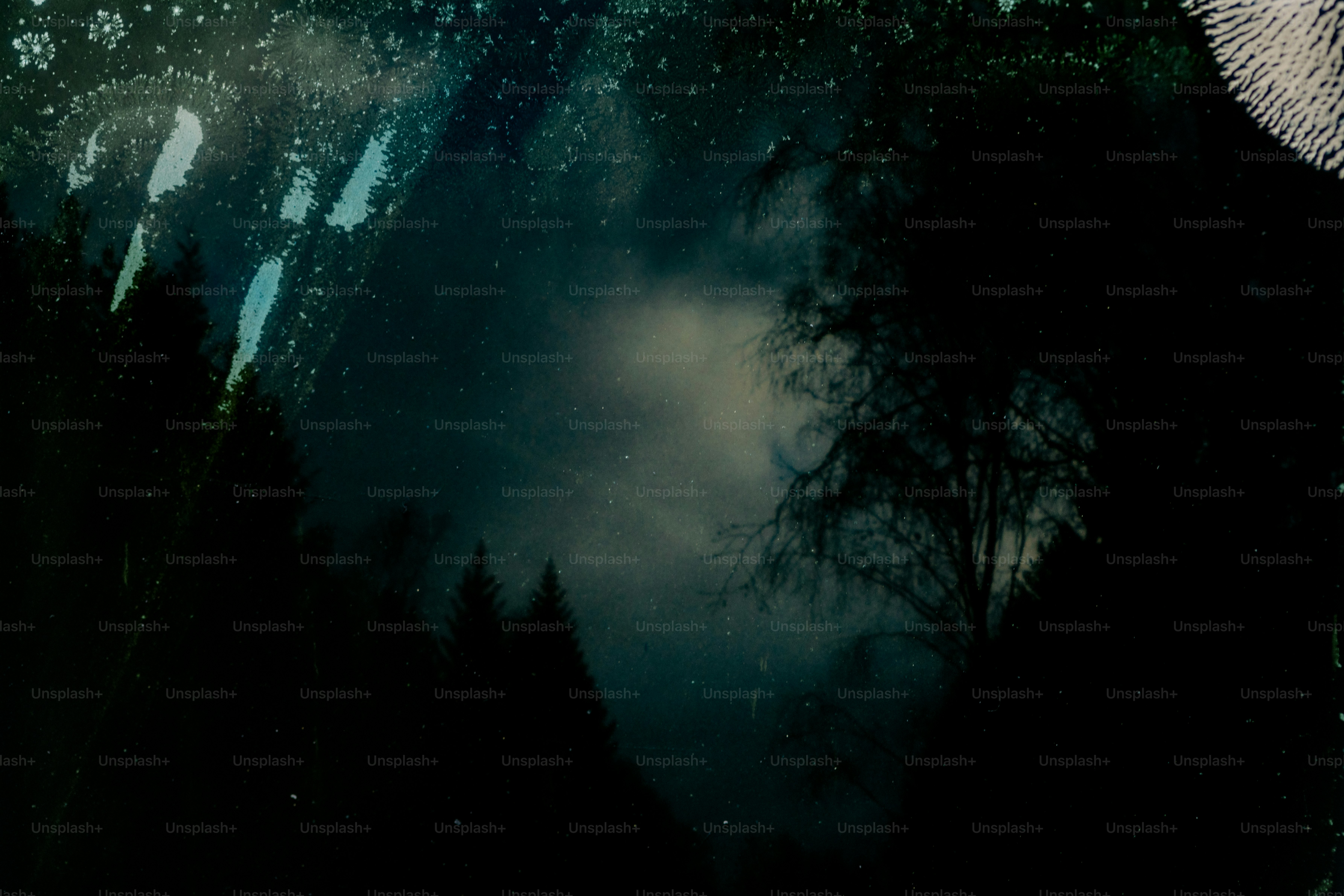 A mysterious night sky over dark trees.