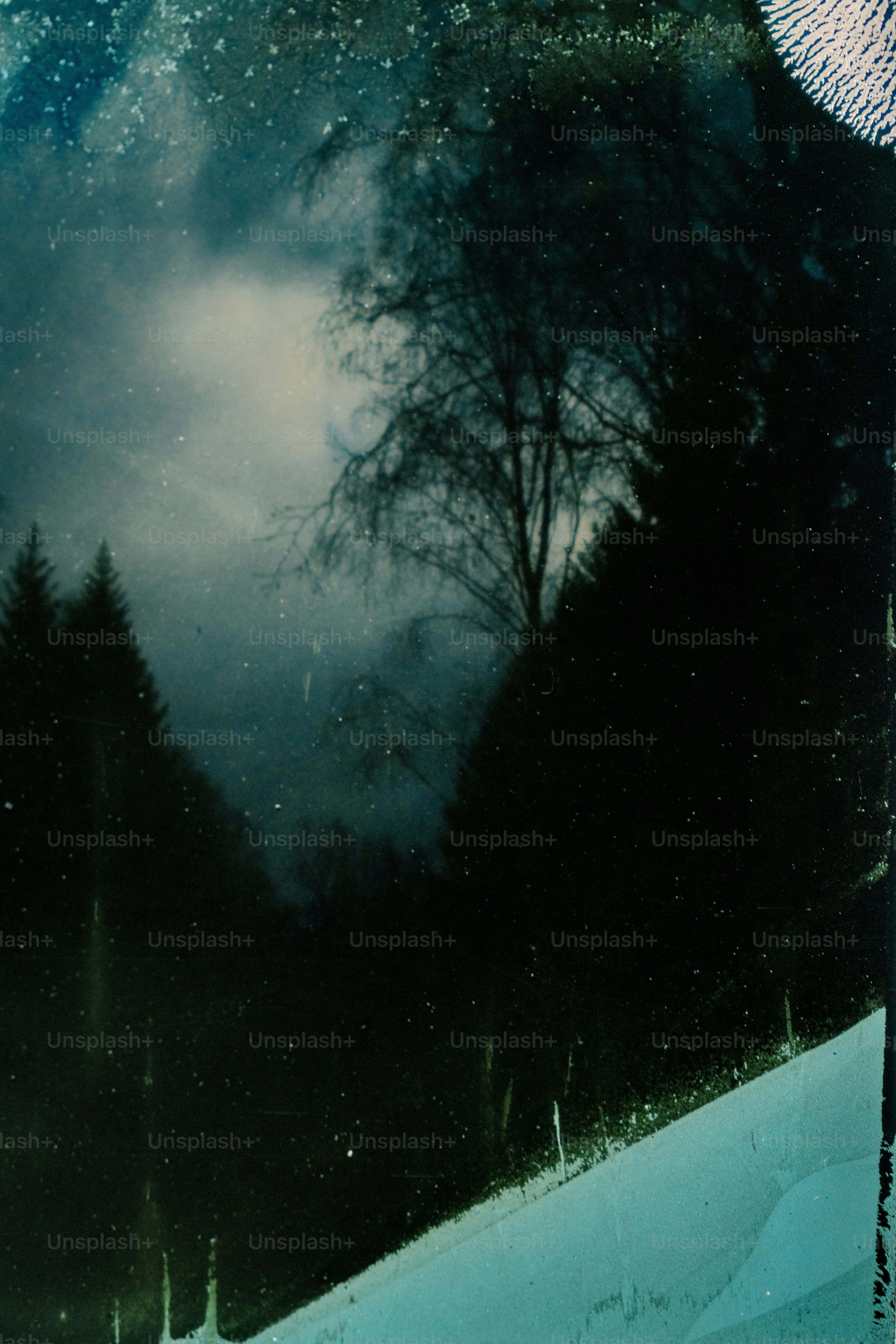 Dark forest and cloudy sky create a mysterious scene.