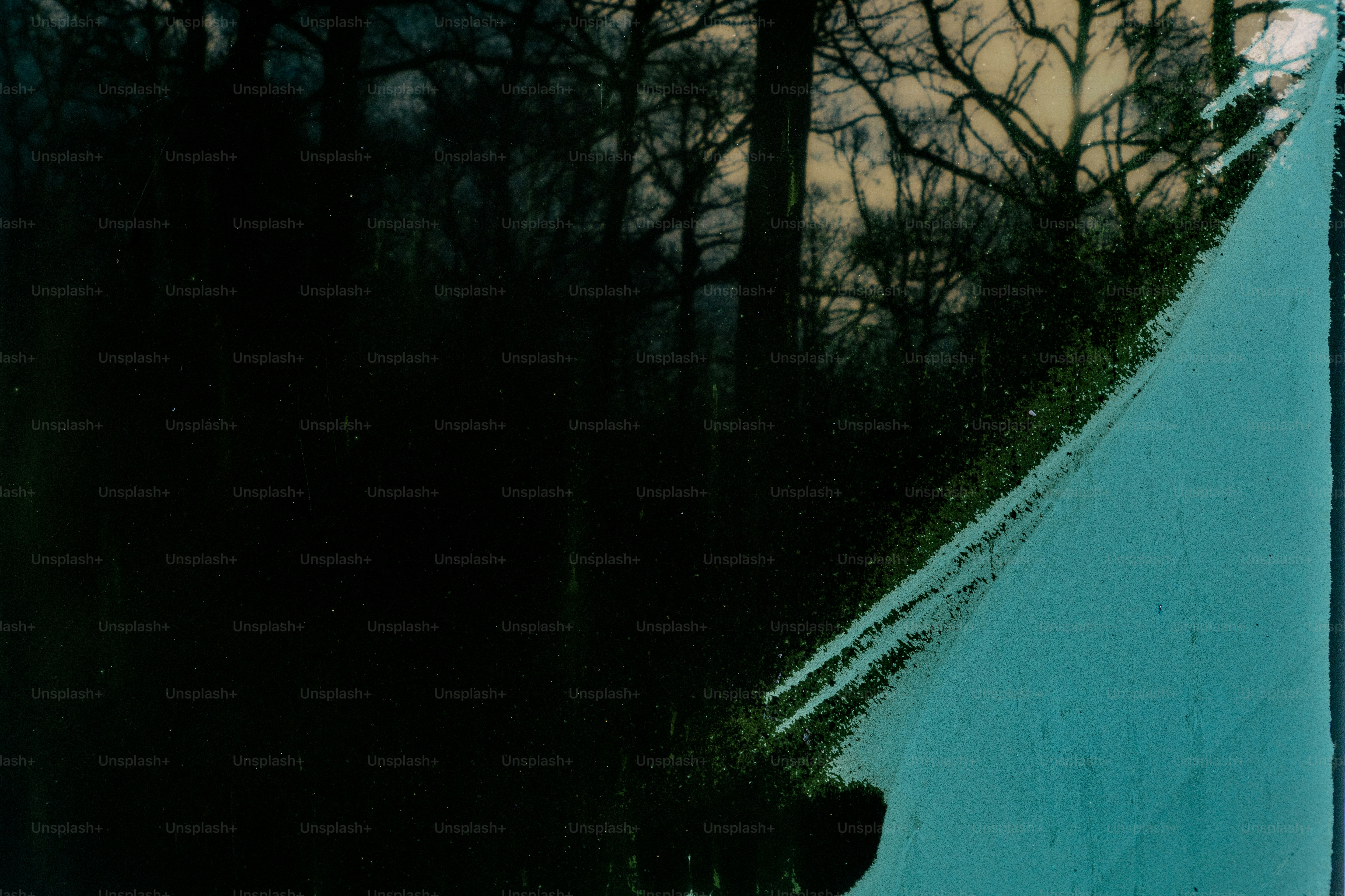 Blurred forest scene with abstract blue streaks.