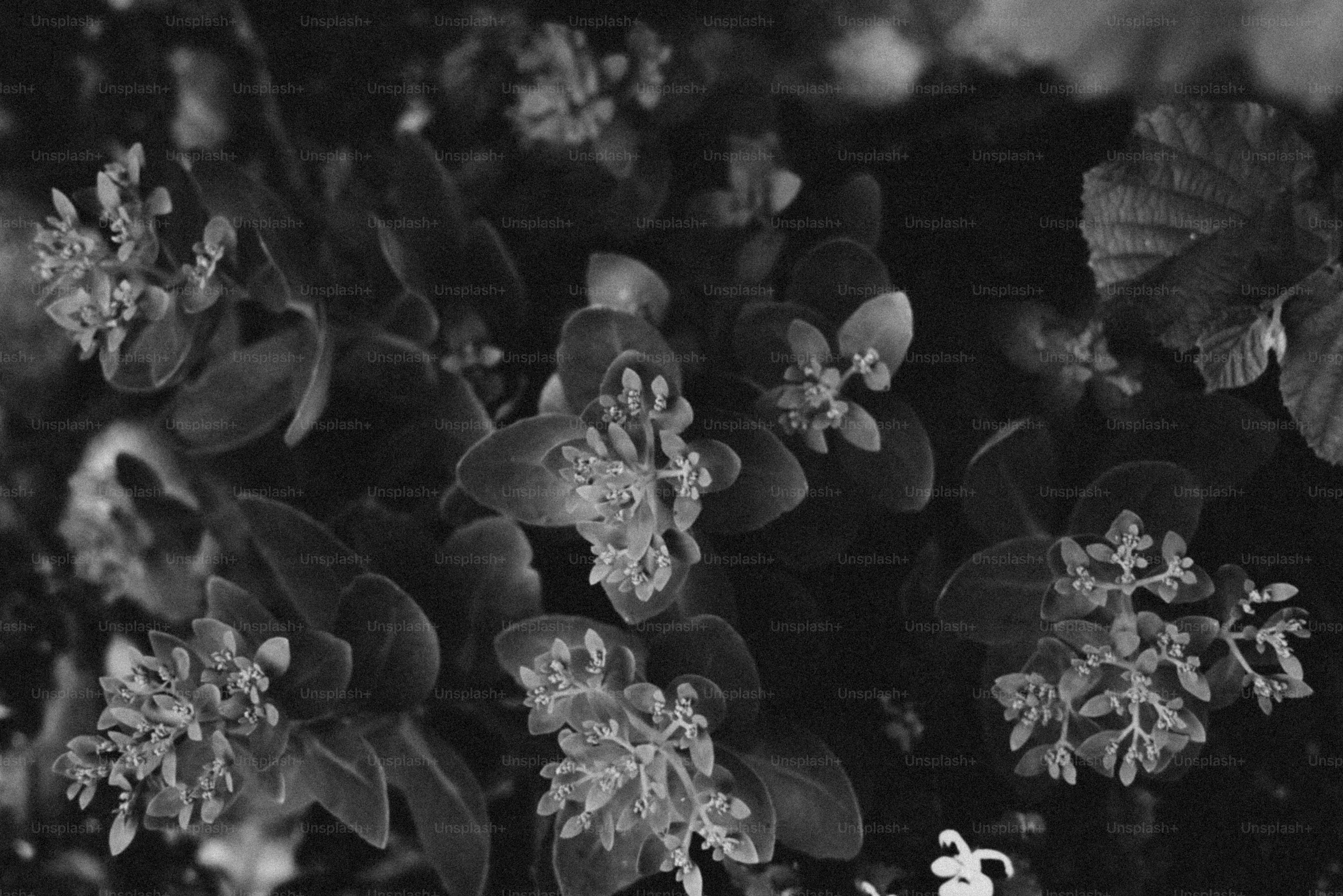 Learn about the Mentors helping entrepreneurs in our program, image size:3000x2001