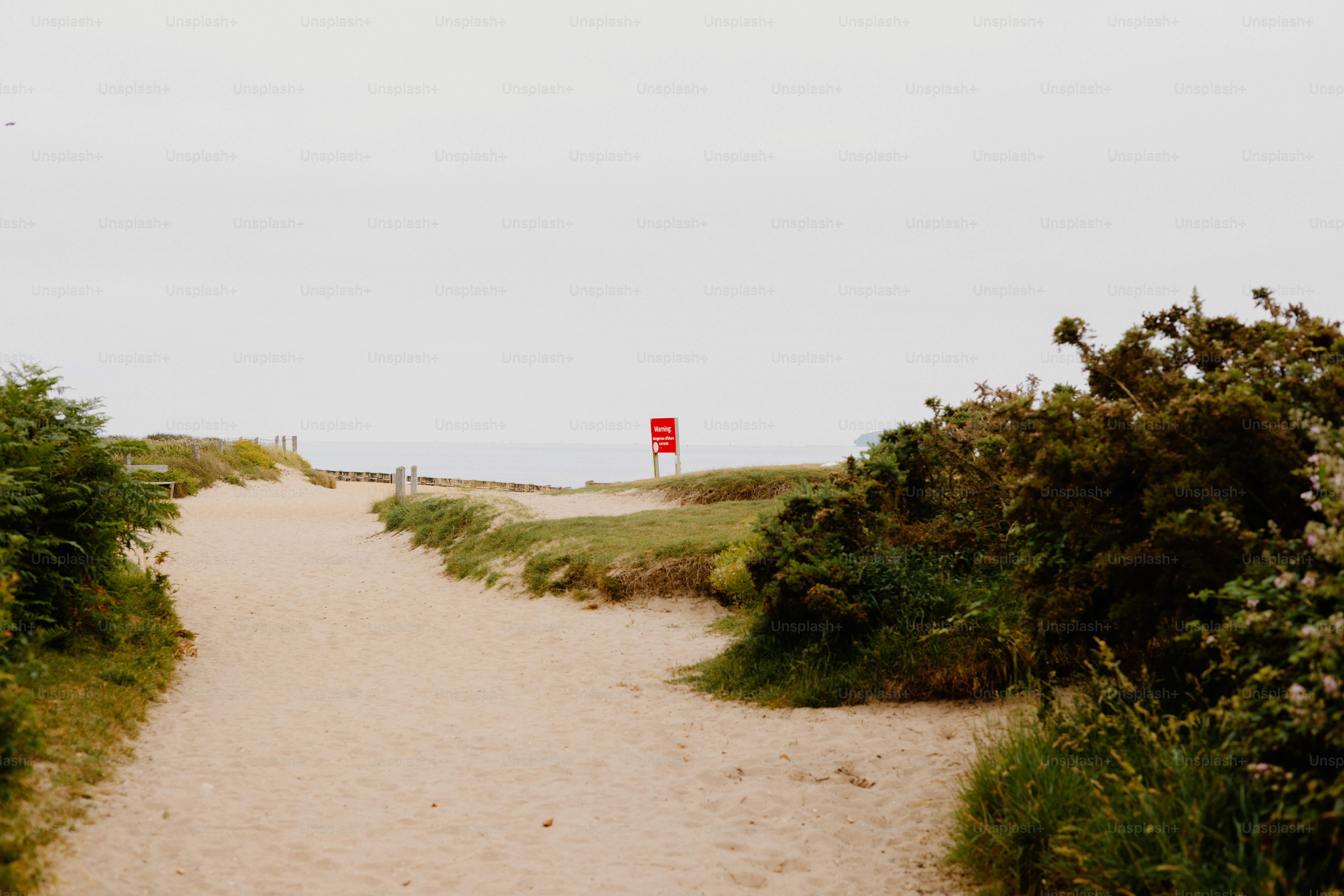 A sandy path leads to the ocean's view. photo – Beach Image on Unsplash
