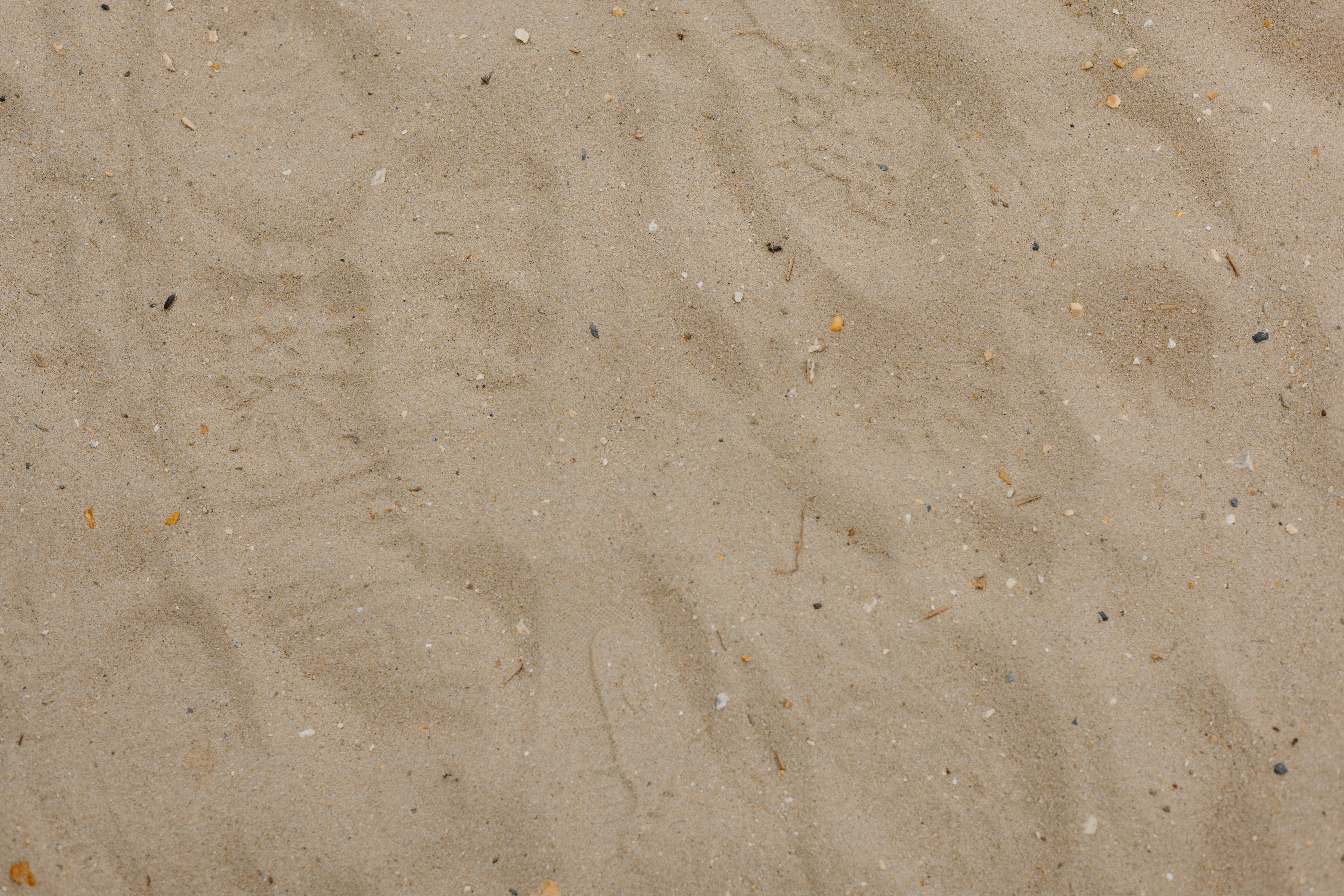 premium_photo-1751196617816-6f80f4024784?ixid=M3wxMjA3fDB8MXxzZWFyY2h8NXx8JUVGJUJGJUJEJUVGJUJGJUJEJUVGJUJGJUJEJUVGJUJGJUJEJUVGJUJGJUJEJUVGJUJGJUJEJTIwa3Jha2VuJTIwJUVGJUJGJUJEJUVGJUJGJUJEJUVGJUJGJUJEJUVGJUJGJUJEJUVGJUJGJUJEJUVGJUJGJUJEJUVGJUJGJUJEJUVGJUJGJUJEJUVGJUJGJUJEJUVGJUJGJUJEJUVGJUJGJUJEJUVGJUJGJUJEJUVGJUJGJUJEJUVGJUJGJUJEJTIwJUVGJUJGJUJEJUVGJUJGJUJEJUVGJUJGJUJEJUVGJUJGJUJEJUVGJUJGJUJEJUVGJUJGJUJEJTIwJUVGJUJGJUJEJUVGJUJGJUJEJUVGJUJGJUJEJUVGJUJGJUJEJUVGJUJGJUJEJUVGJUJGJUJEJUVGJUJGJUJEJUVGJUJGJUJEJUVGJUJGJUJEJUVGJUJGJUJEJUVGJUJGJUJEJUVGJUJGJUJEJUVGJUJGJUJEJUVGJUJGJUJEJUVGJUJGJUJEJUVGJUJGJUJEJUVGJUJGJUJEJUVGJUJGJUJEJUVGJUJGJUJEJUVGJUJGJUJEJUVGJUJGJUJEJUVGJUJGJUJEJTIwJUVGJUJGJUJEJUVGJUJGJUJEJUVGJUJGJUJEJUVGJUJGJUJEJUVGJUJGJUJEJUVGJUJGJUJEJUVGJUJGJUJEJUVGJUJGJUJEJUVGJUJGJUJEJUVGJUJGJUJEJUVGJUJGJUJEJUVGJUJGJUJEJTIxJTIwJUVGJUJGJUJEJUVGJUJGJUJEJUVGJUJGJUJEfGVufDB8fHx8MTc3MjI5MTMxOXww\u0026ixlib=rb-4.1.0