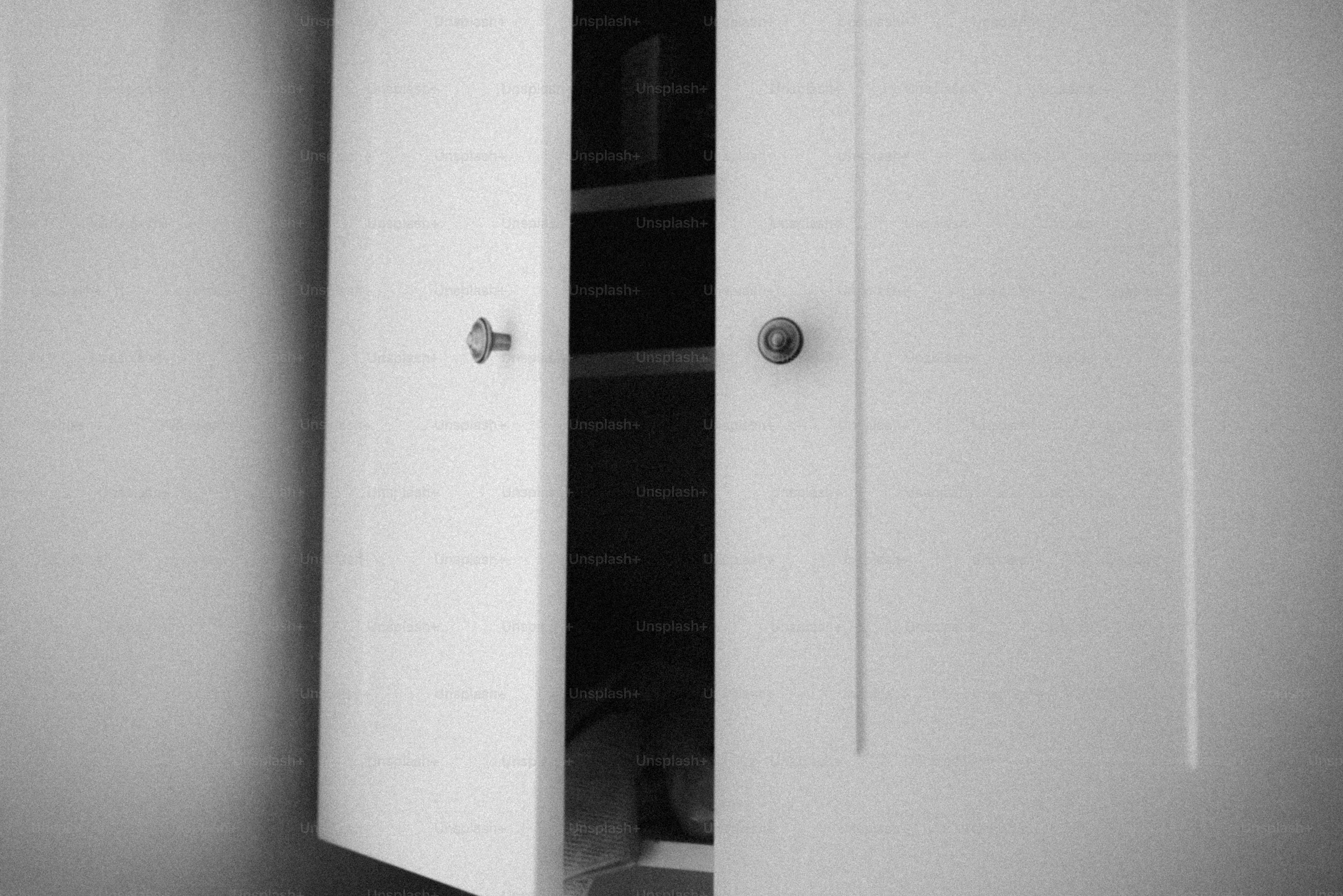 Cabinet doors are open to reveal shelves.