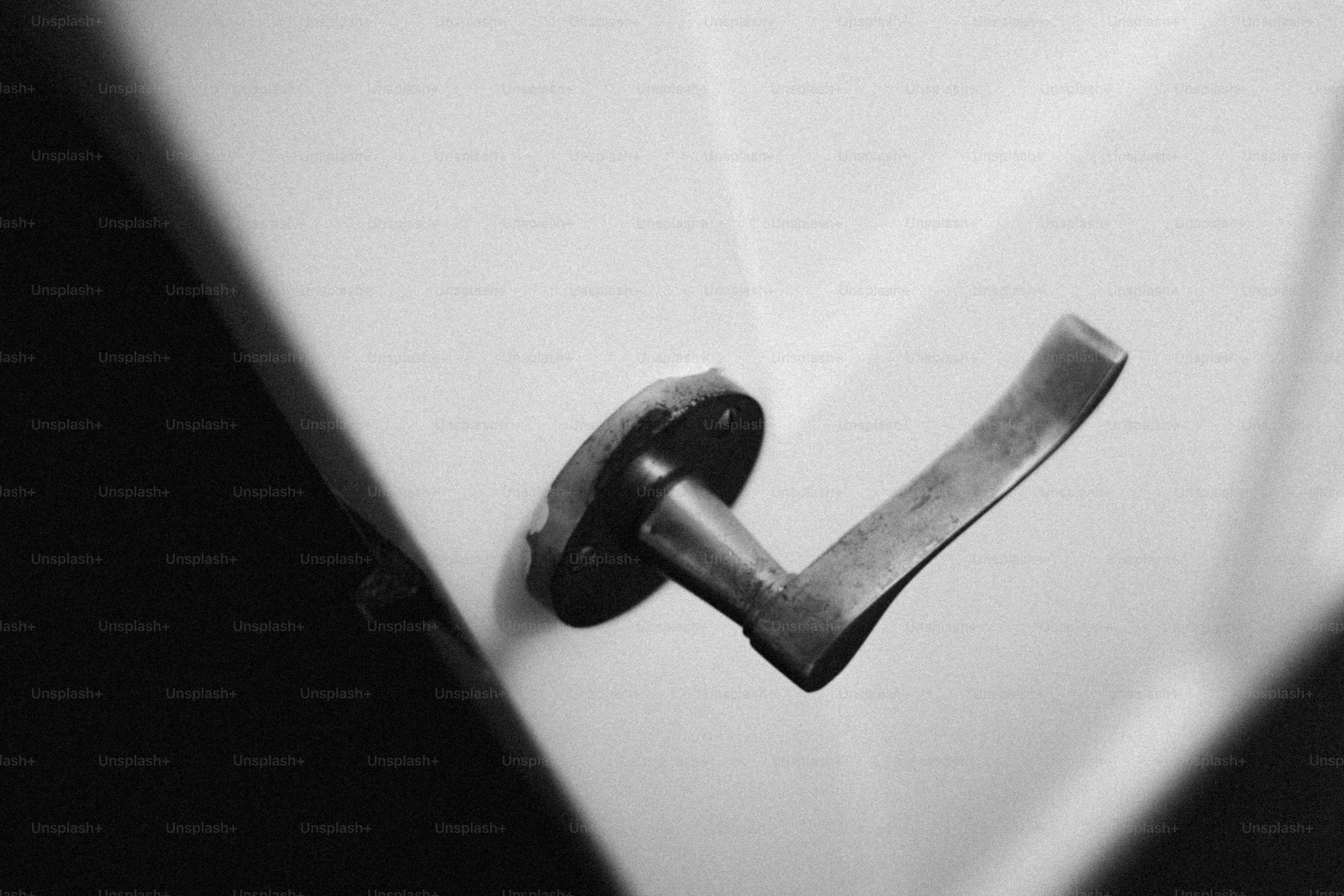 Door handle close-up in black and white.