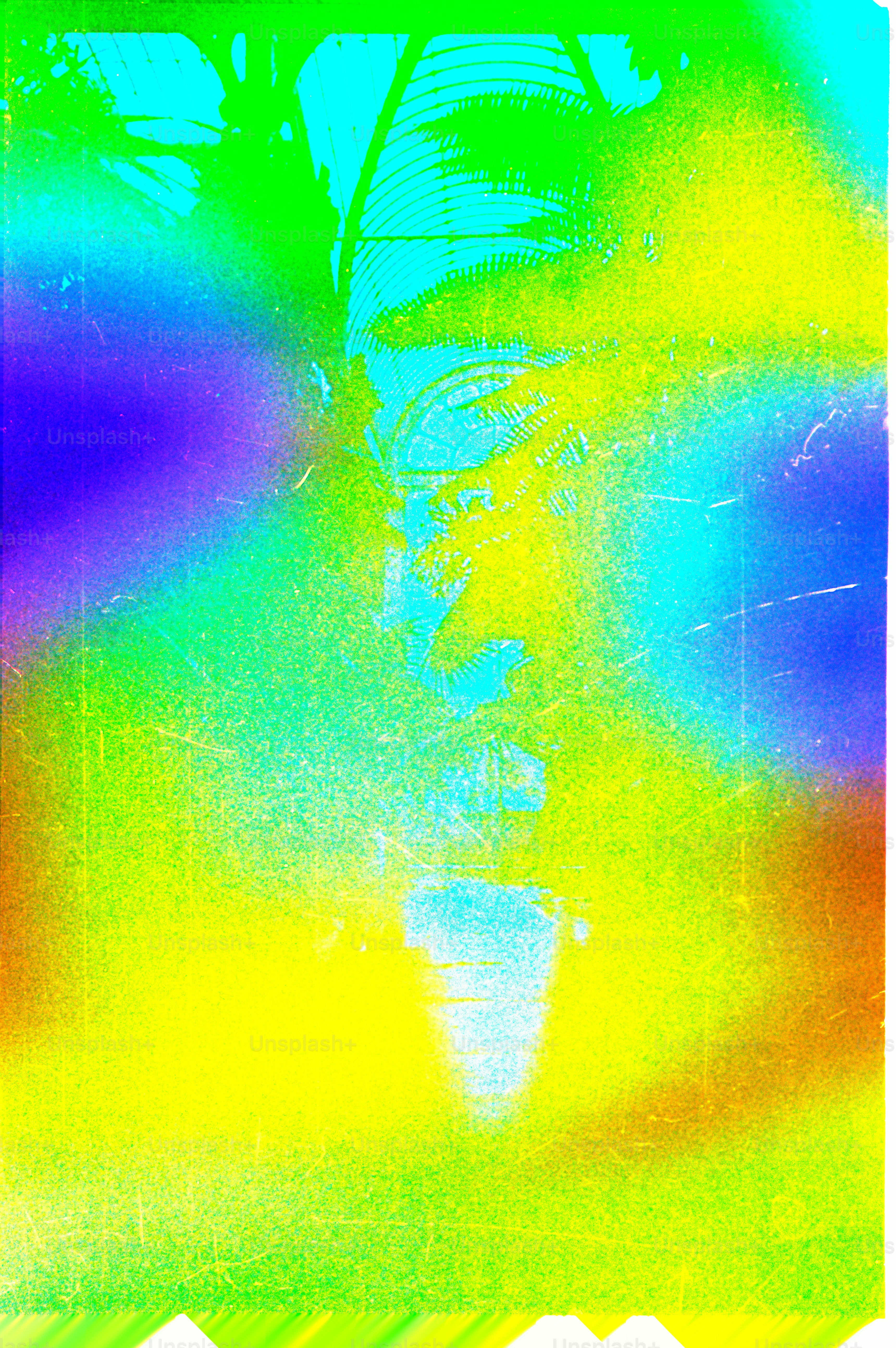 A colorful image of a human figure.