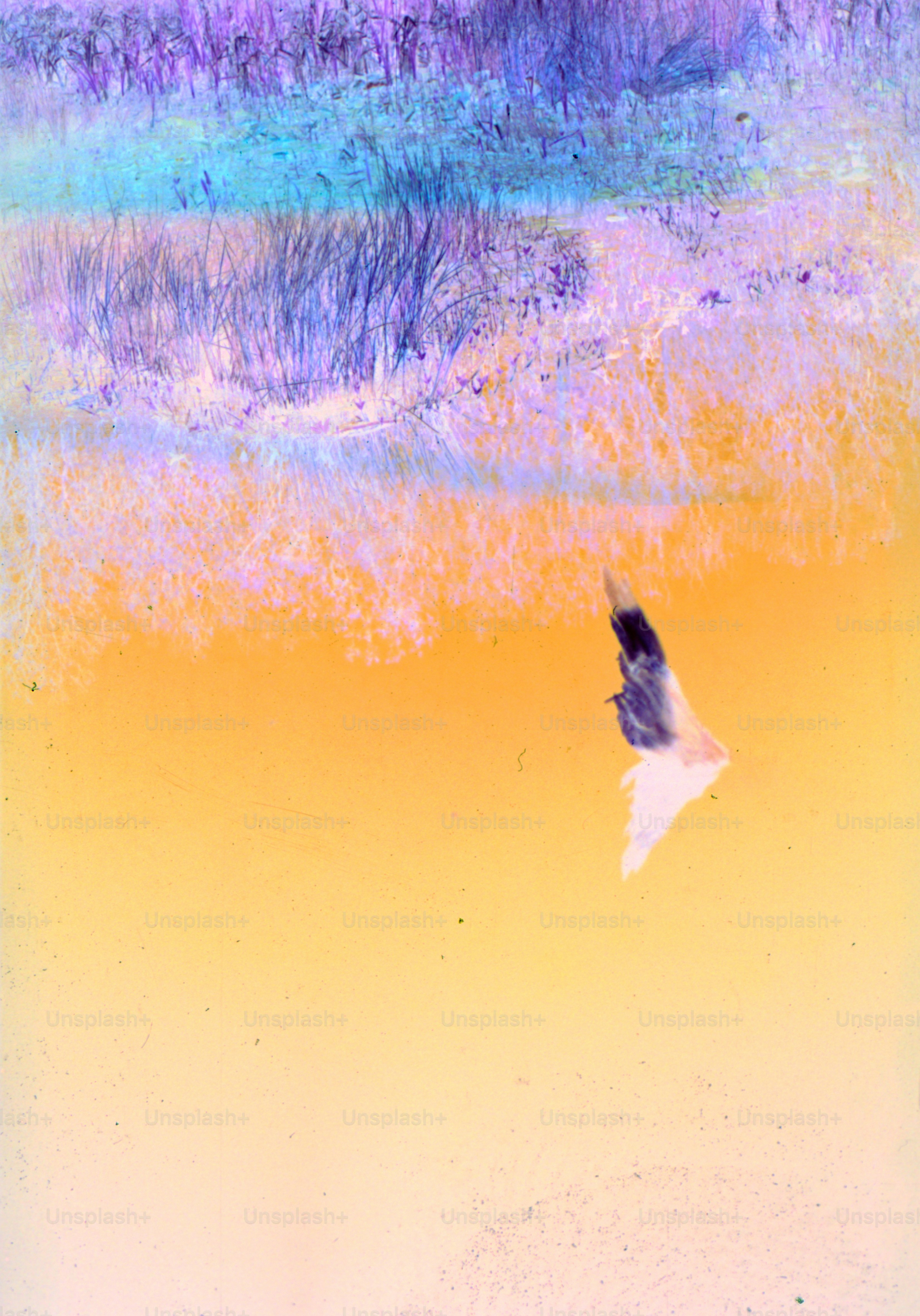 海の上を飛ぶ鳥の絵の写真 – Unsplashの芸術の無料画像
