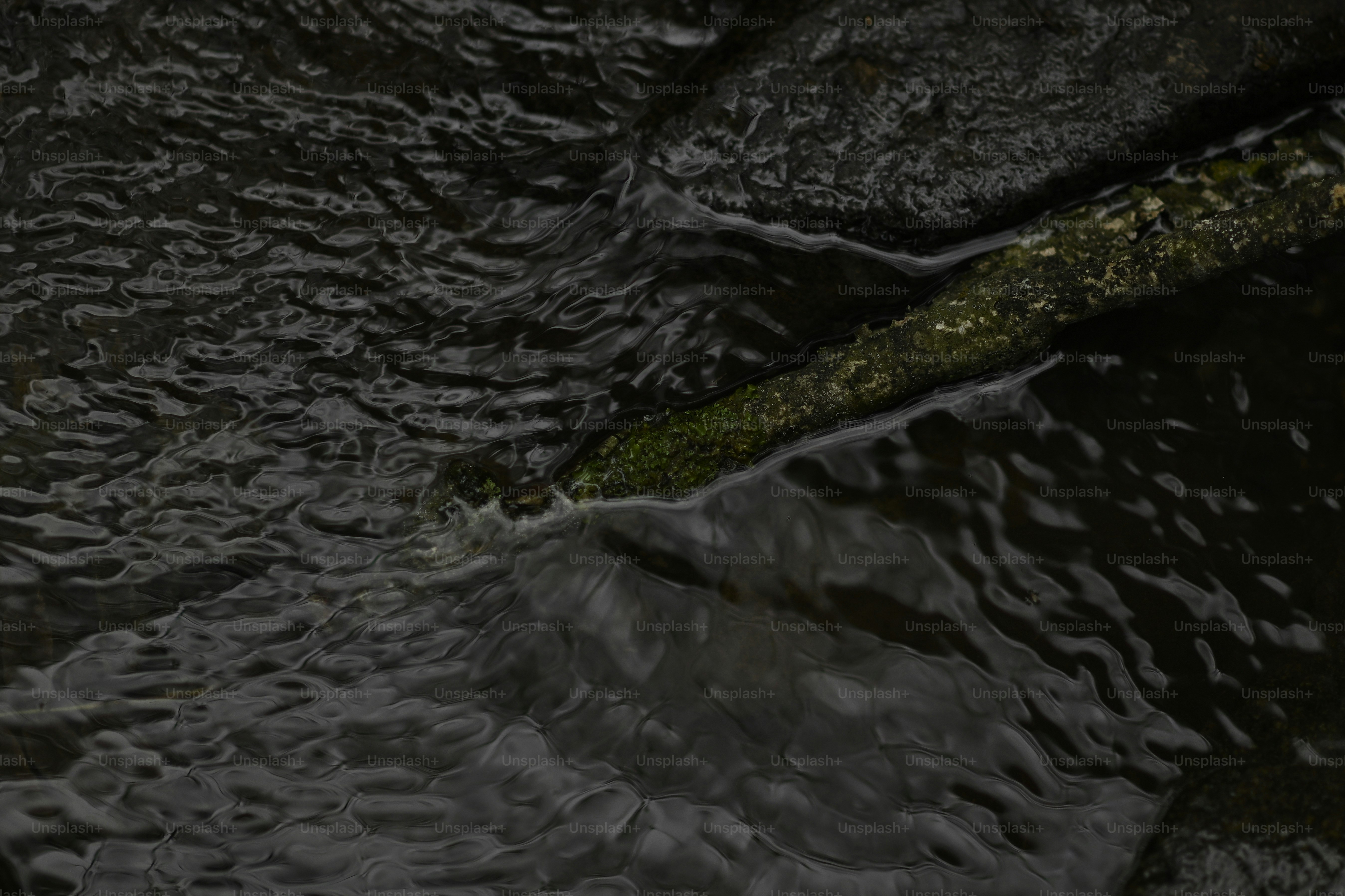 water meets land
