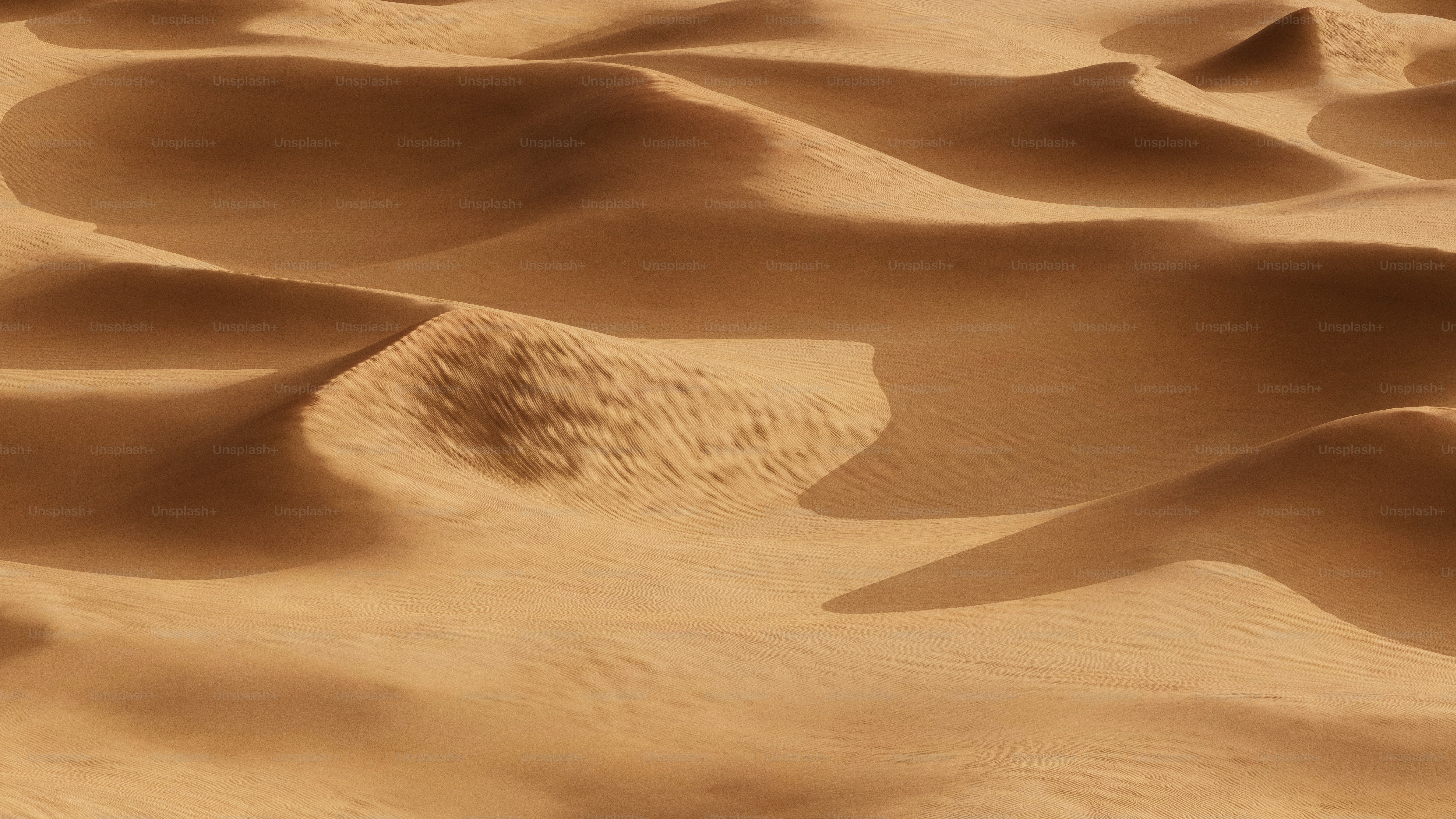 Here's a short caption: sand dunes form a beautiful, arid landscape.