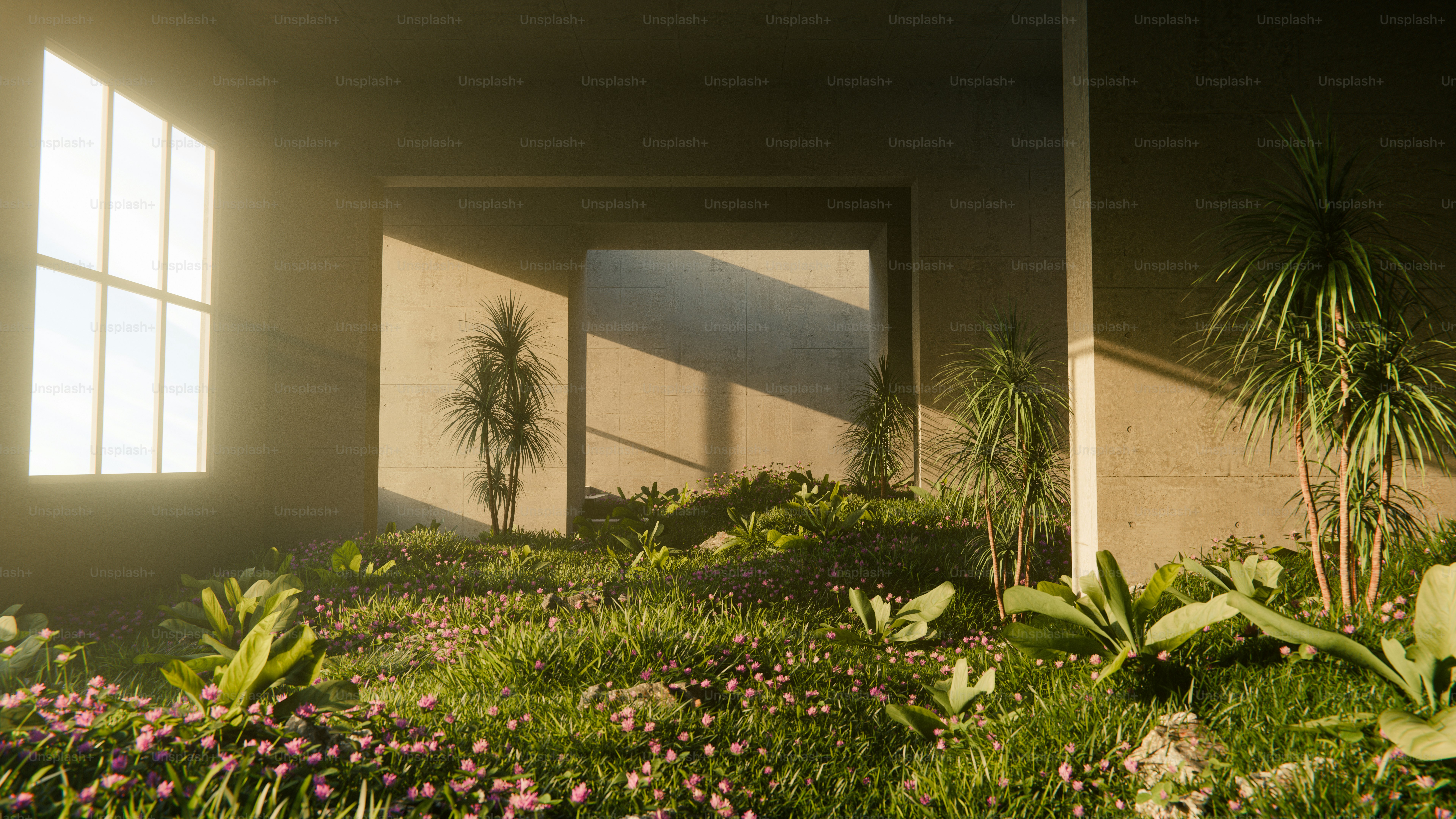 A garden is illuminated by sunlight and shadows.