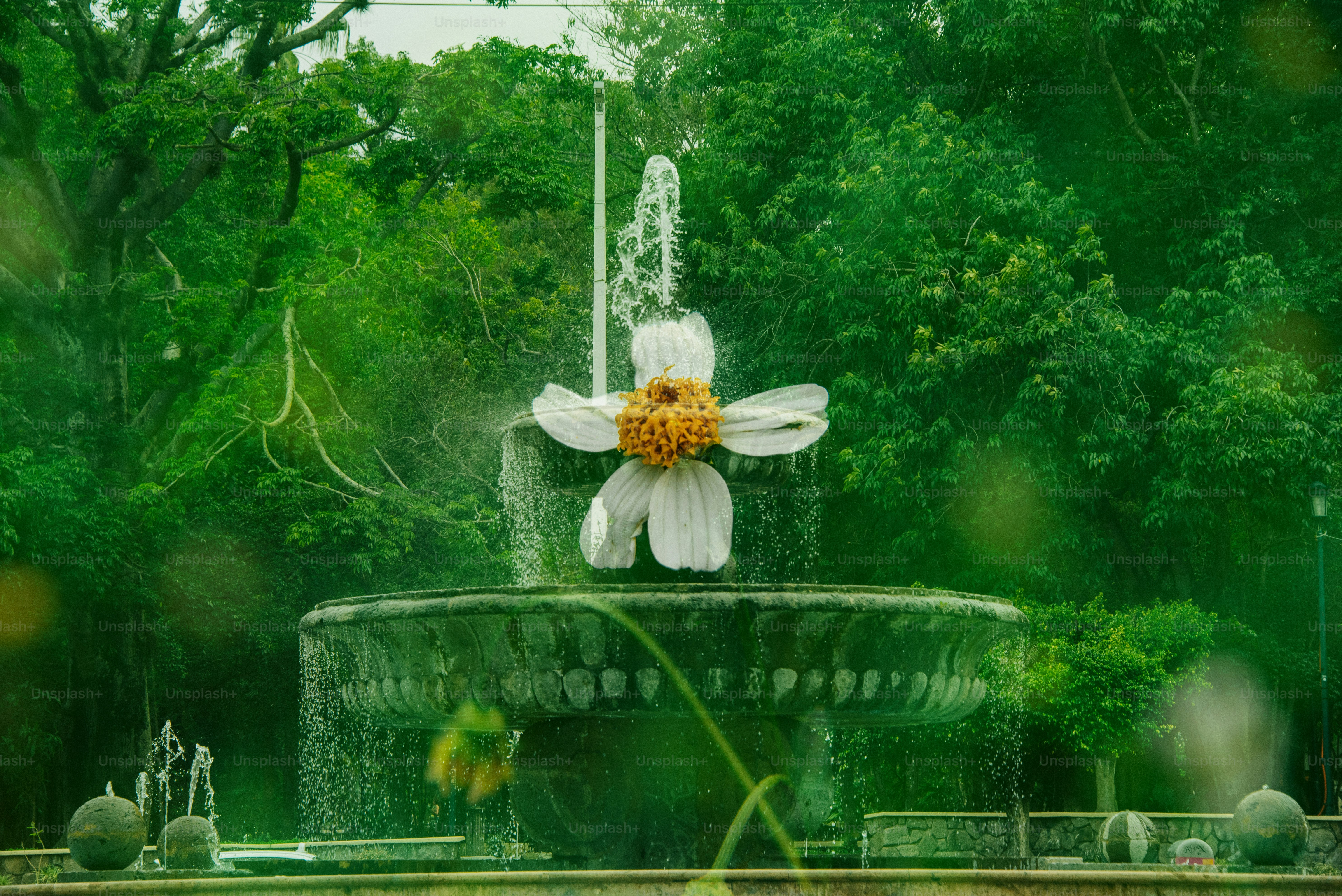 Uma fonte de flores em um jardim verdejante