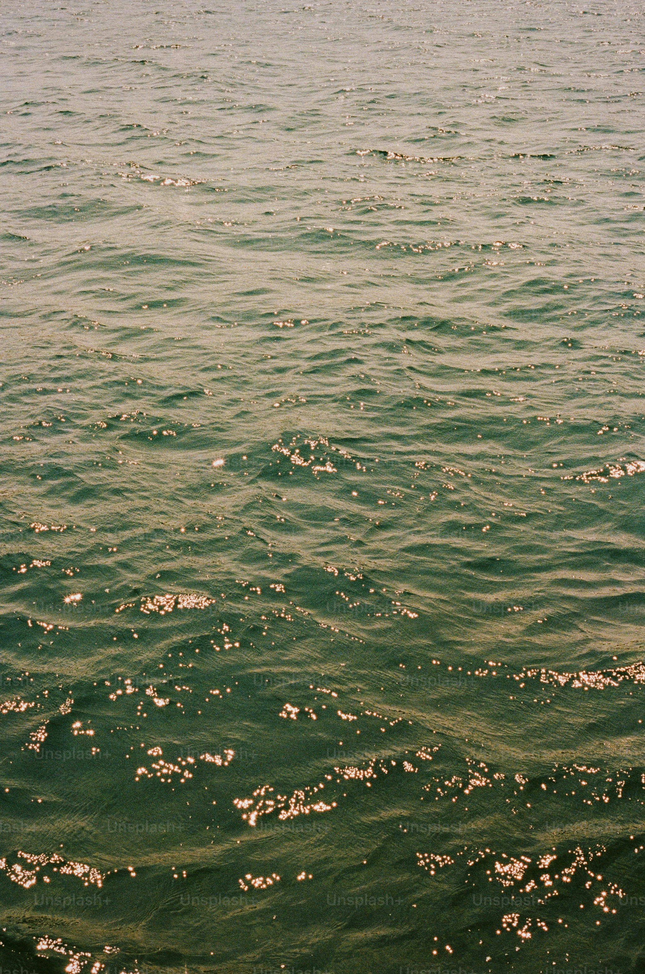 Glittering water shimmers gently in the sunlight.