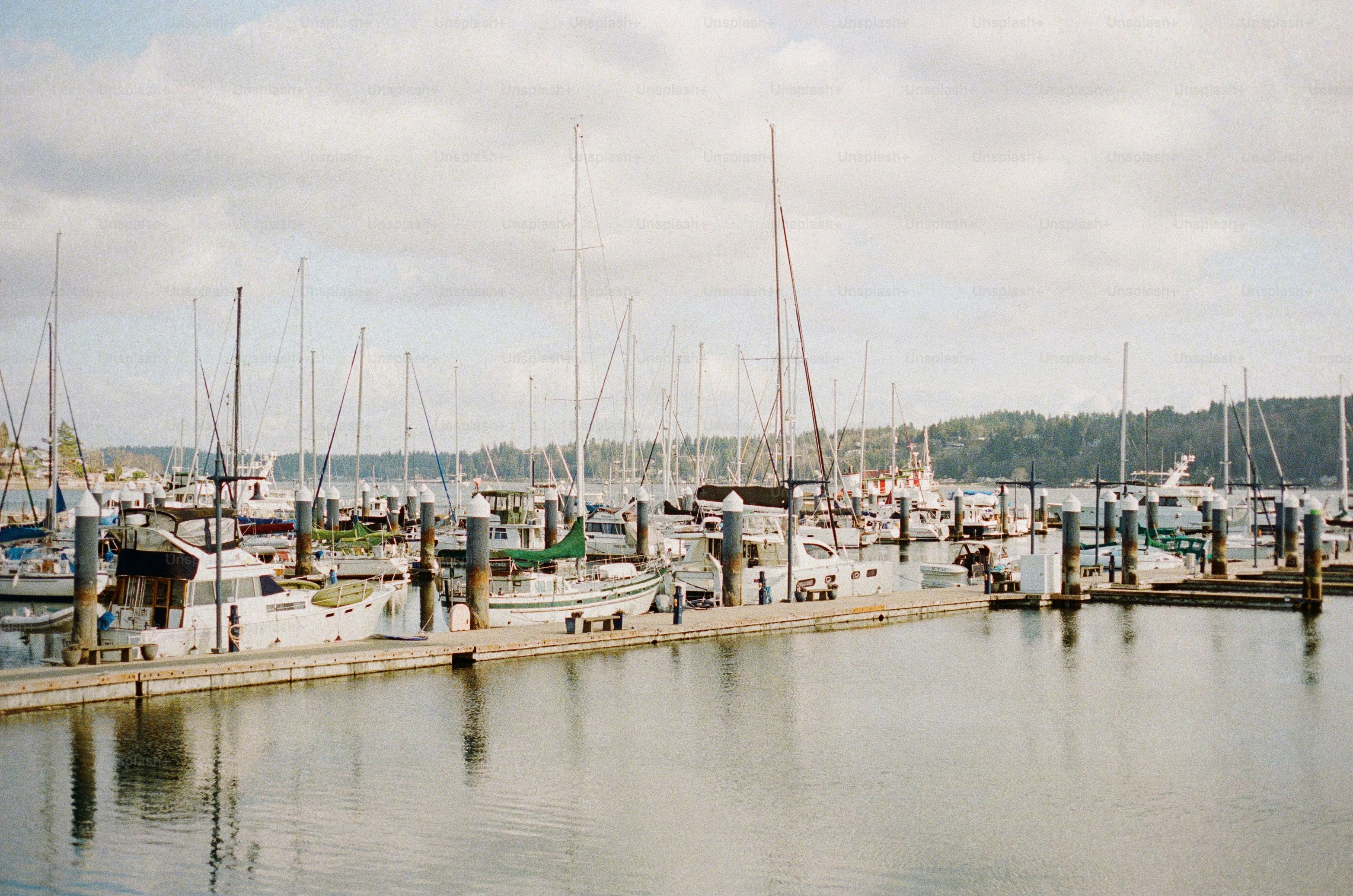 Os barcos estão atracados em uma marina em um dia nublado.