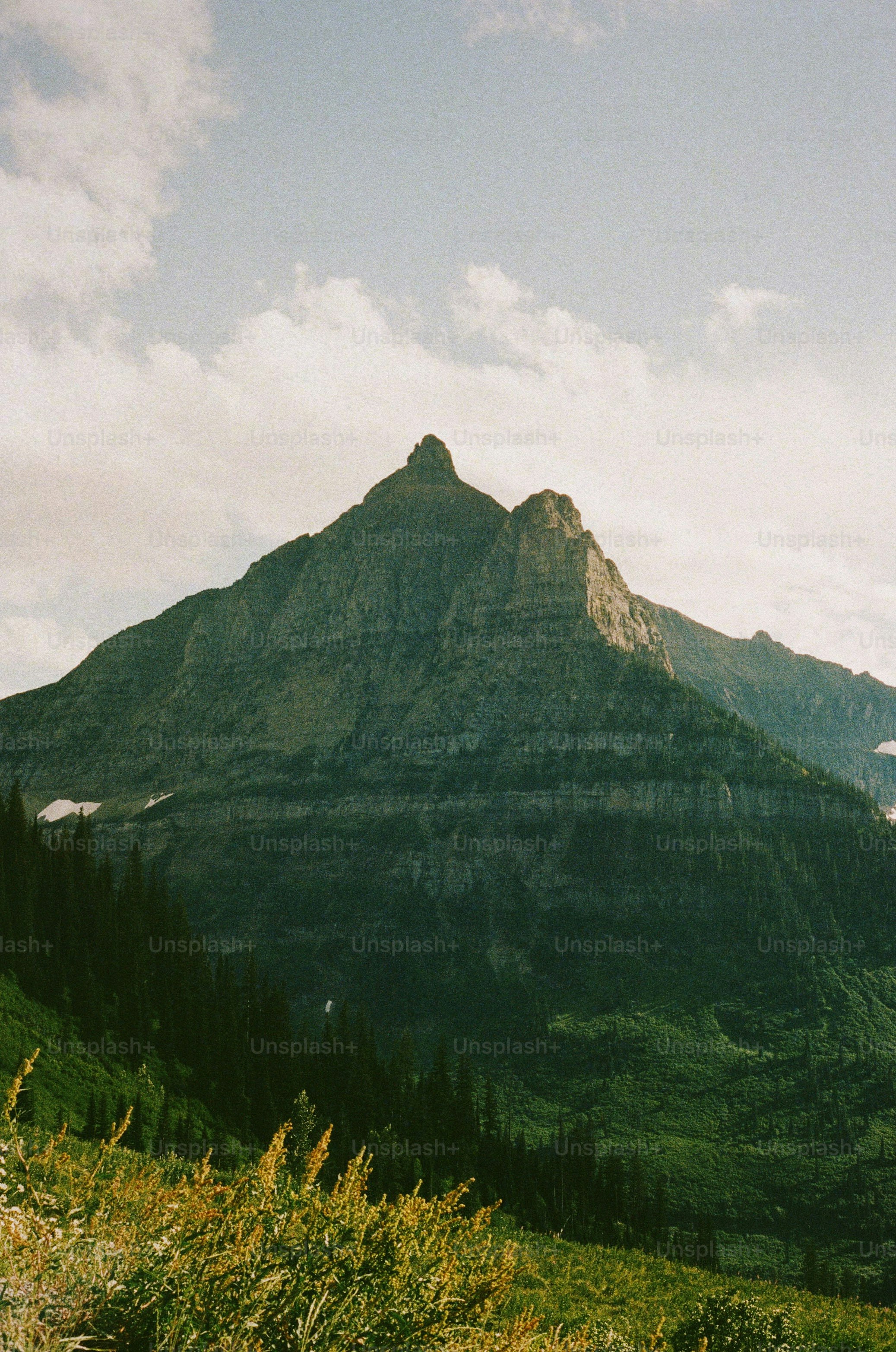 A majestic mountain peaks above greenery.
