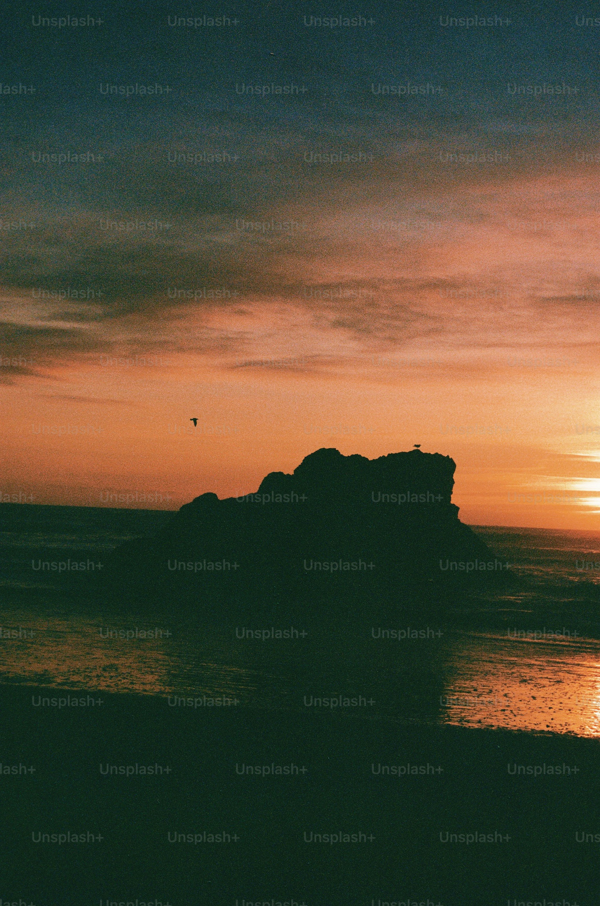 Sunset casts a golden glow over the ocean.
