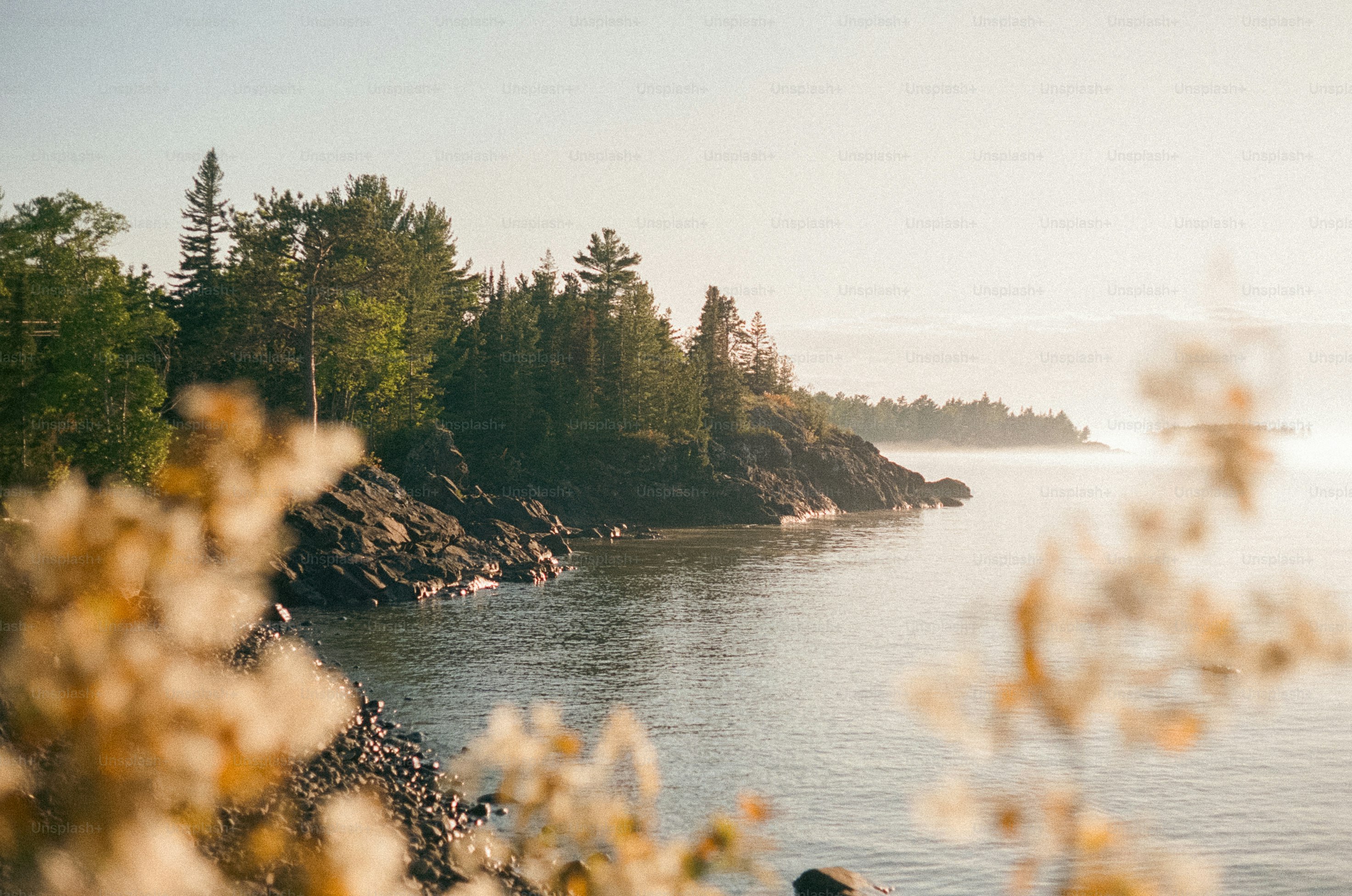 Rocky shoreline with trees and water.