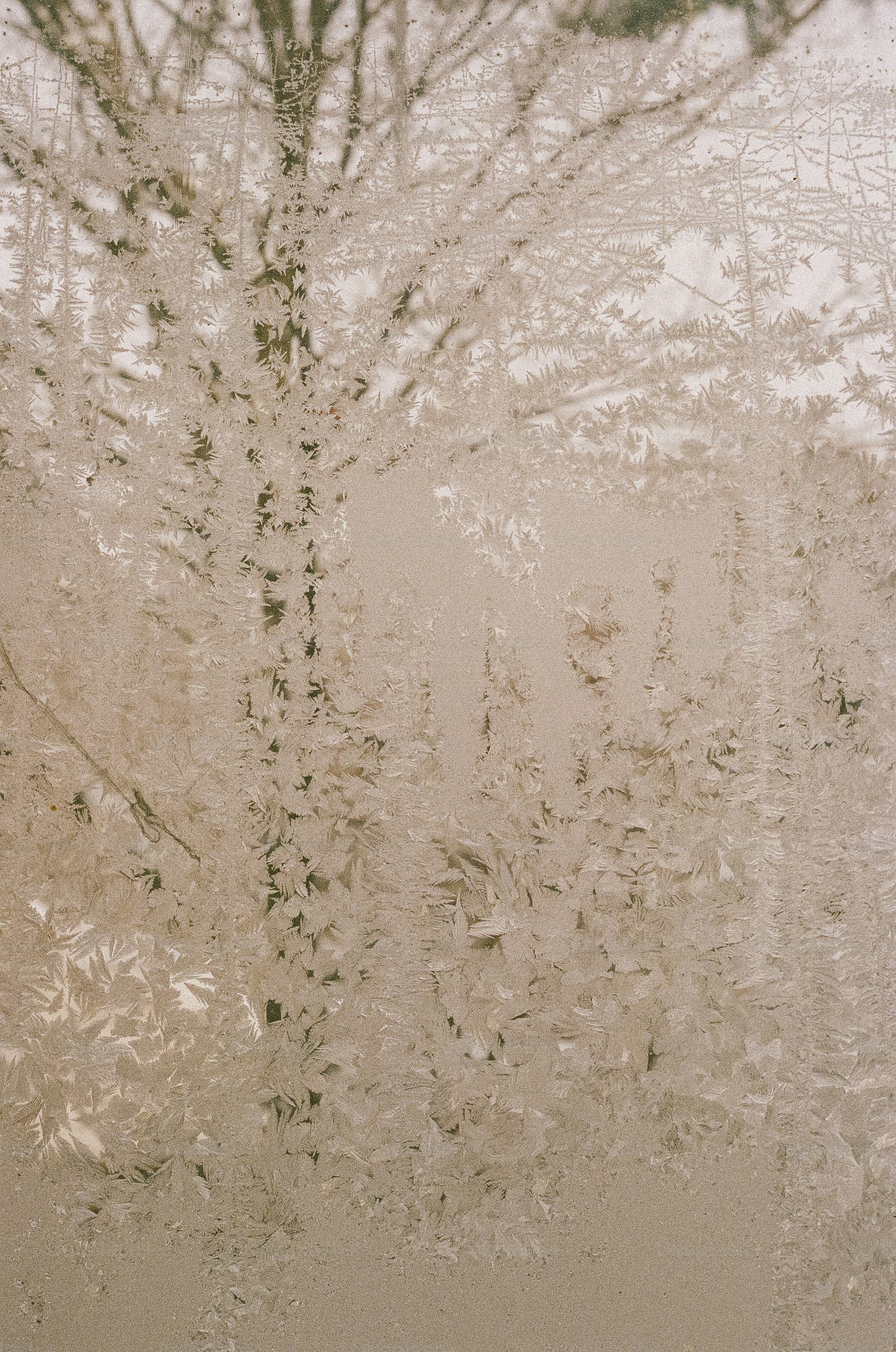 Frost covers the window, obscuring the view.