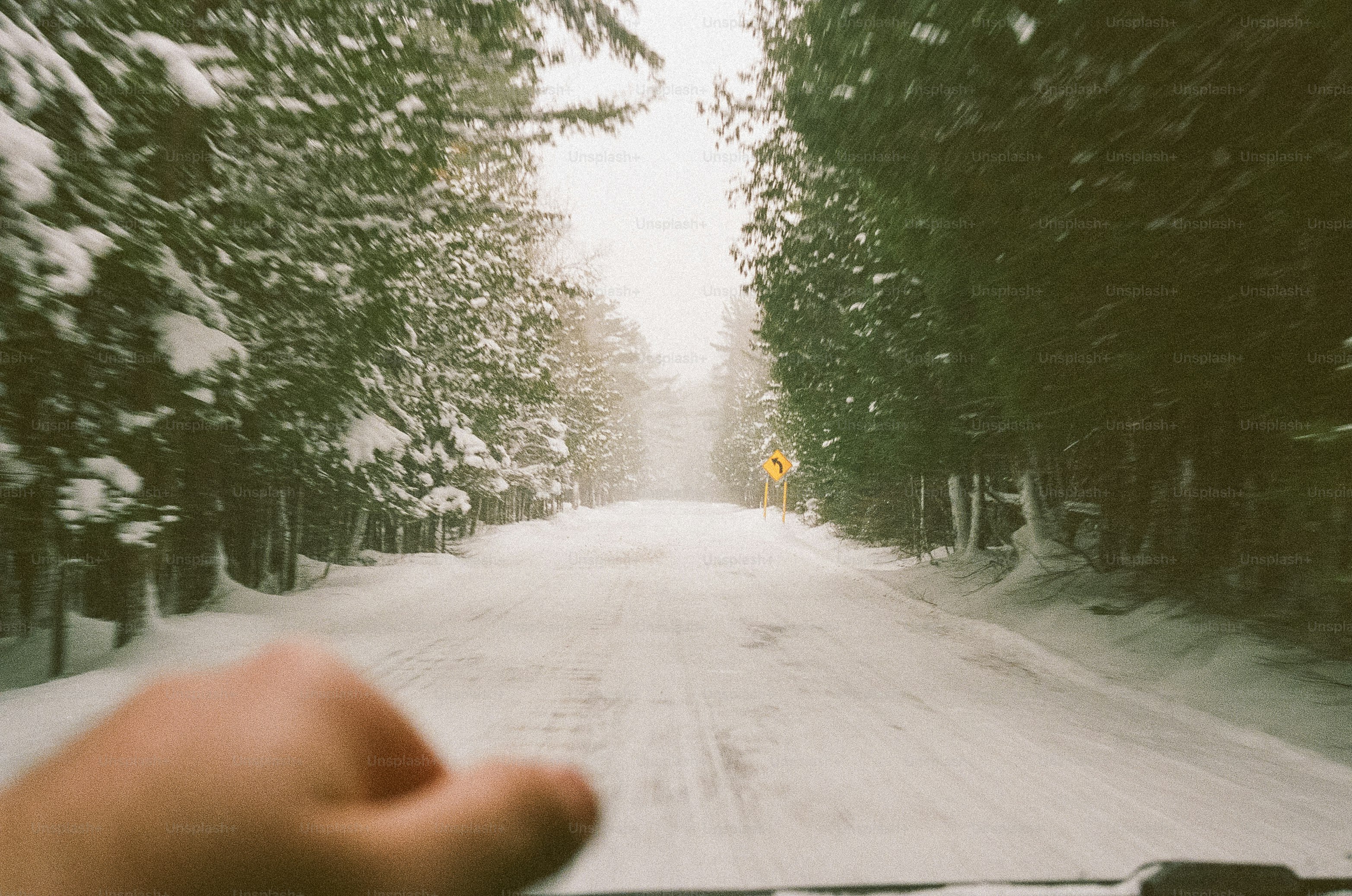 Driving on a snowy road through a forest.
