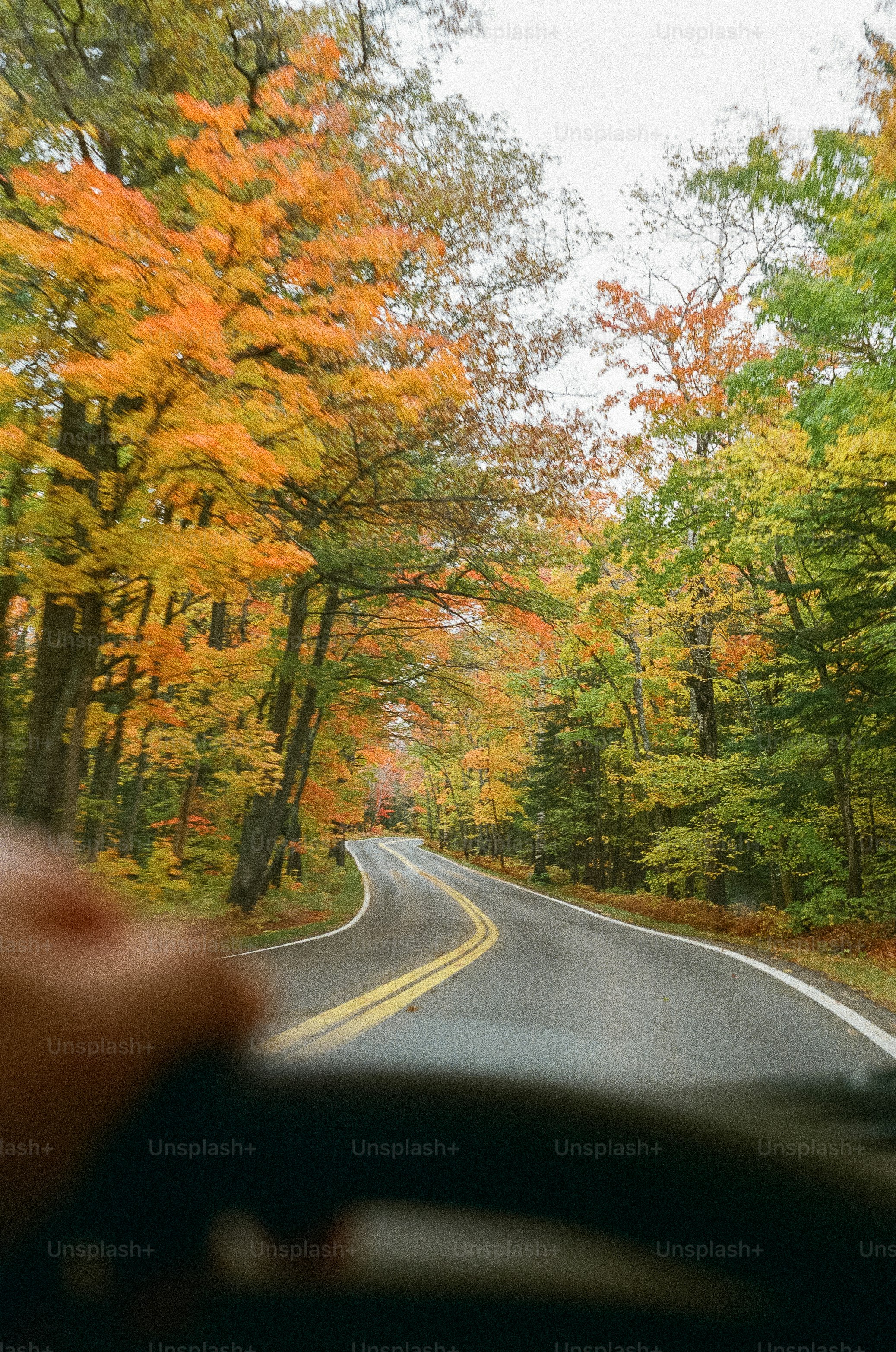 色とりどりの紅葉に囲まれた道をドライブ。