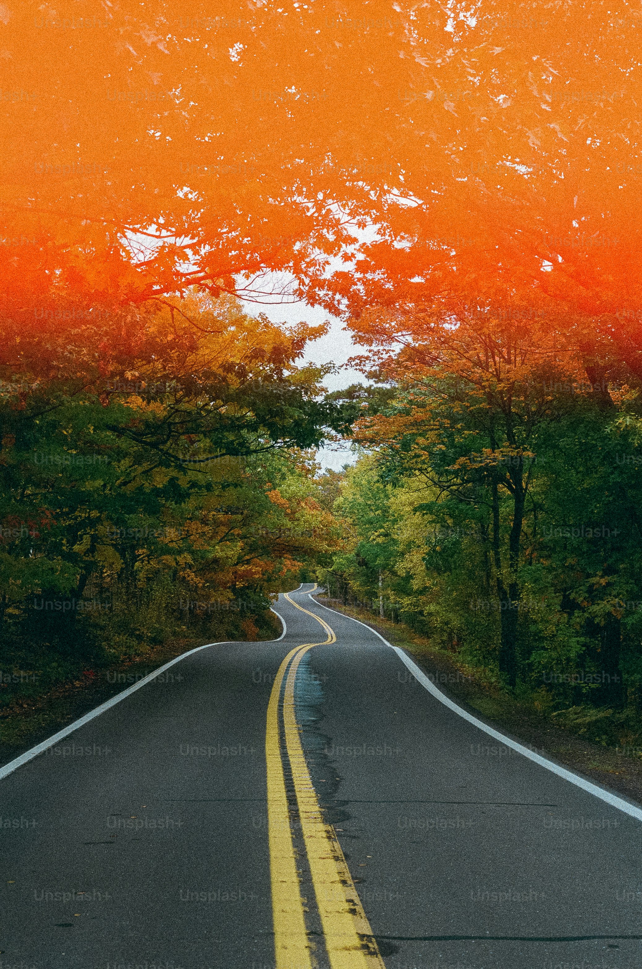 Winding road through colorful trees.