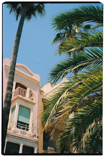 Flamboyant Hotel & Villas resort